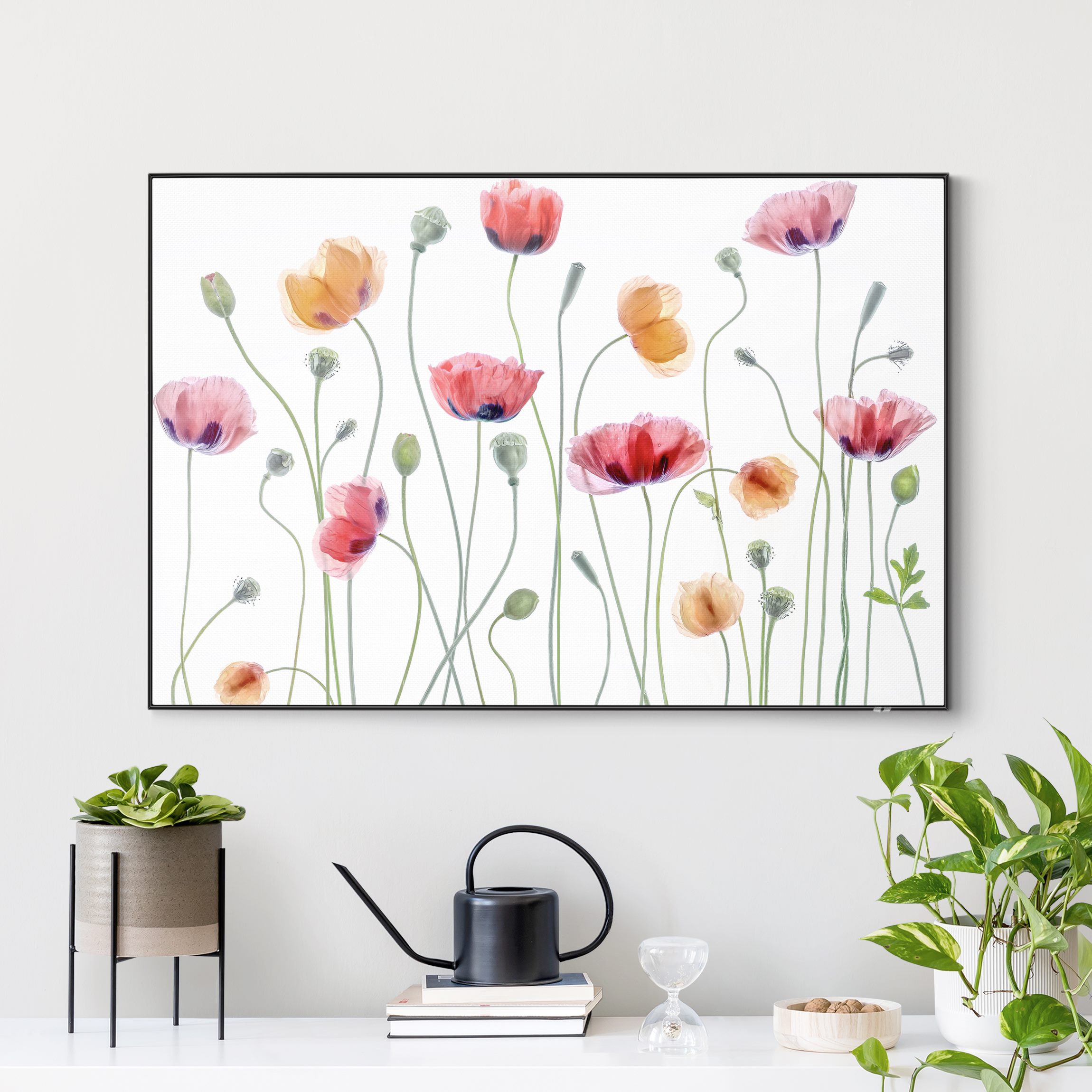 Wechselbild Klatschmohn Party