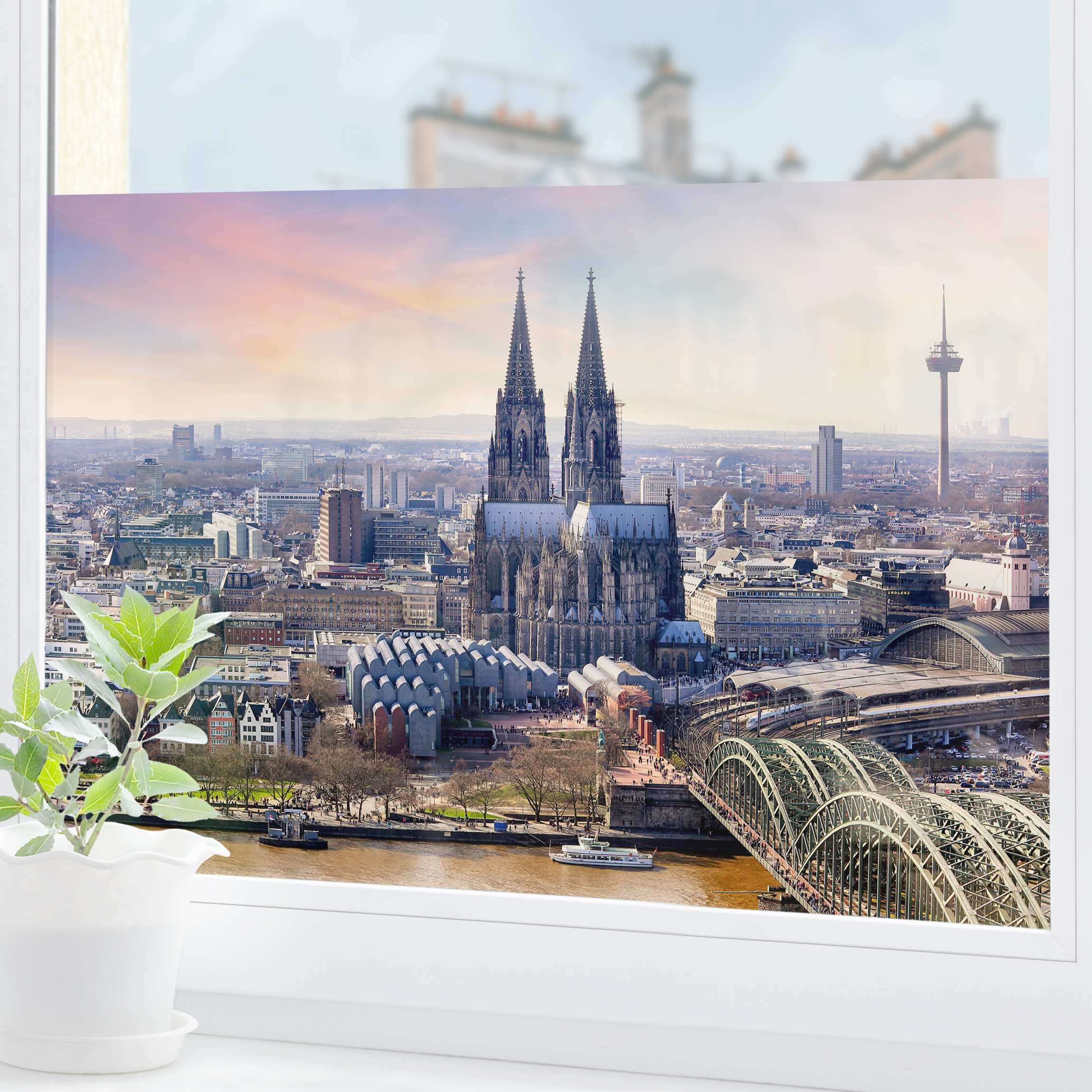 Fensterfolie Köln Skyline mit Dom