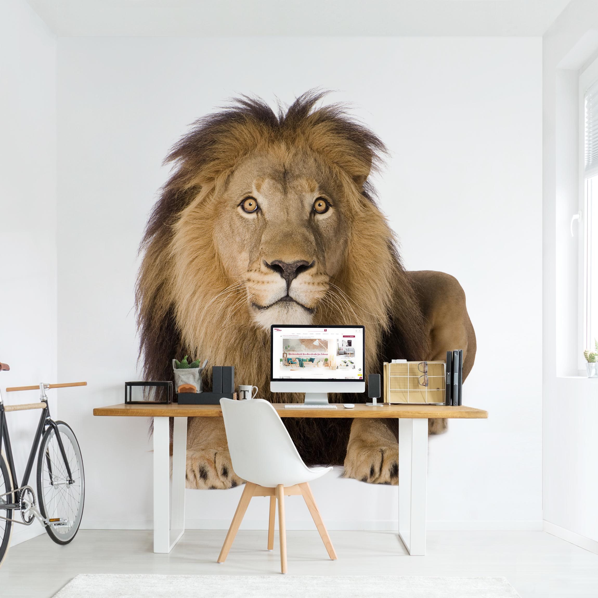 Fototapete Tiere König Löwe II