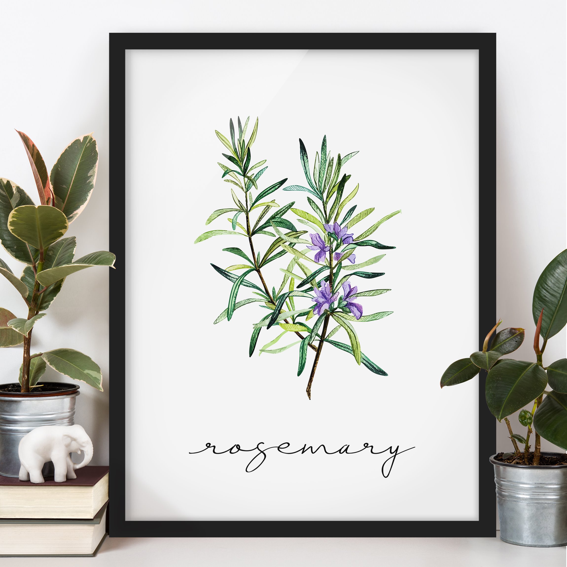 Bild mit Rahmen Kräuter Illustration Rosmarin