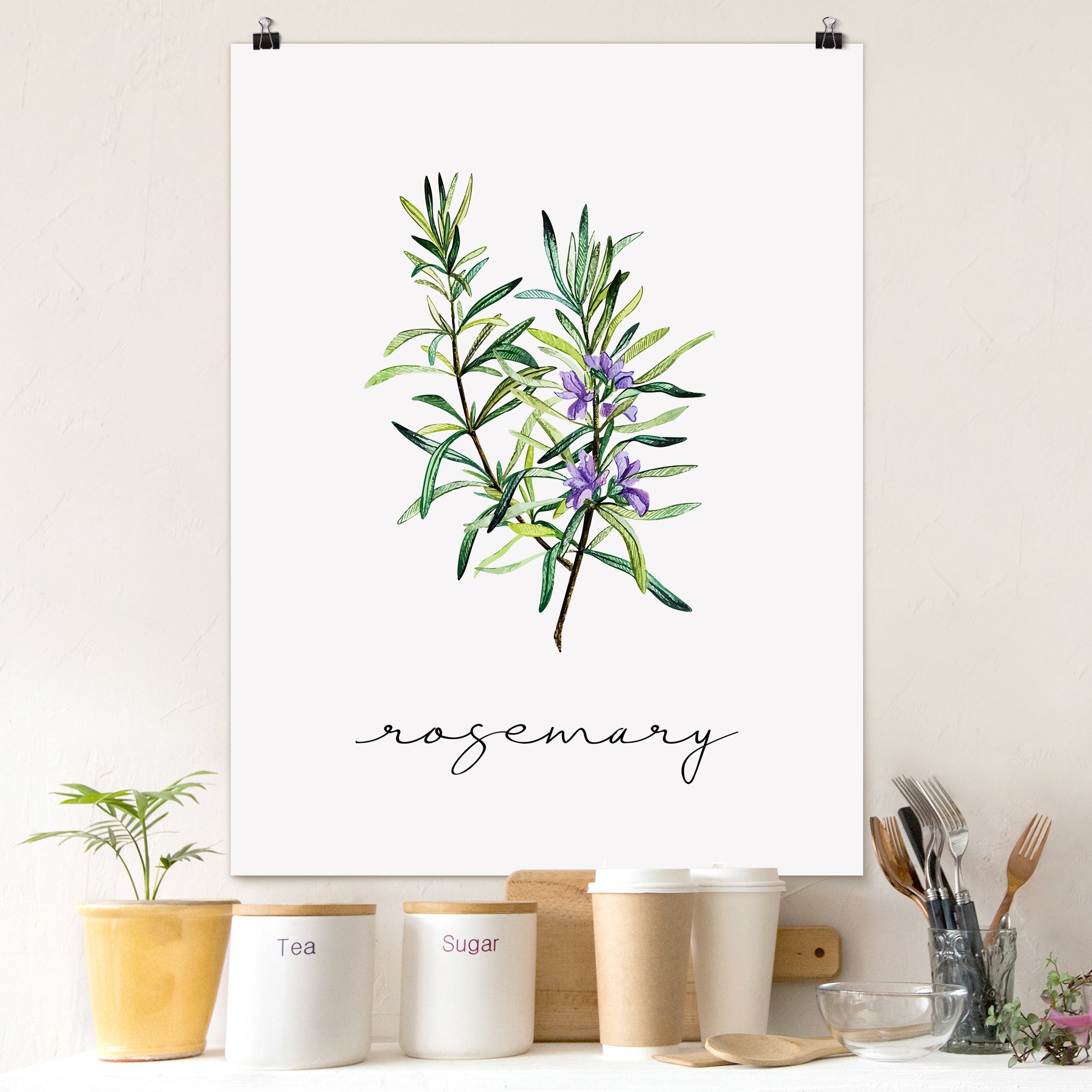 Poster Kräuter Illustration Rosmarin