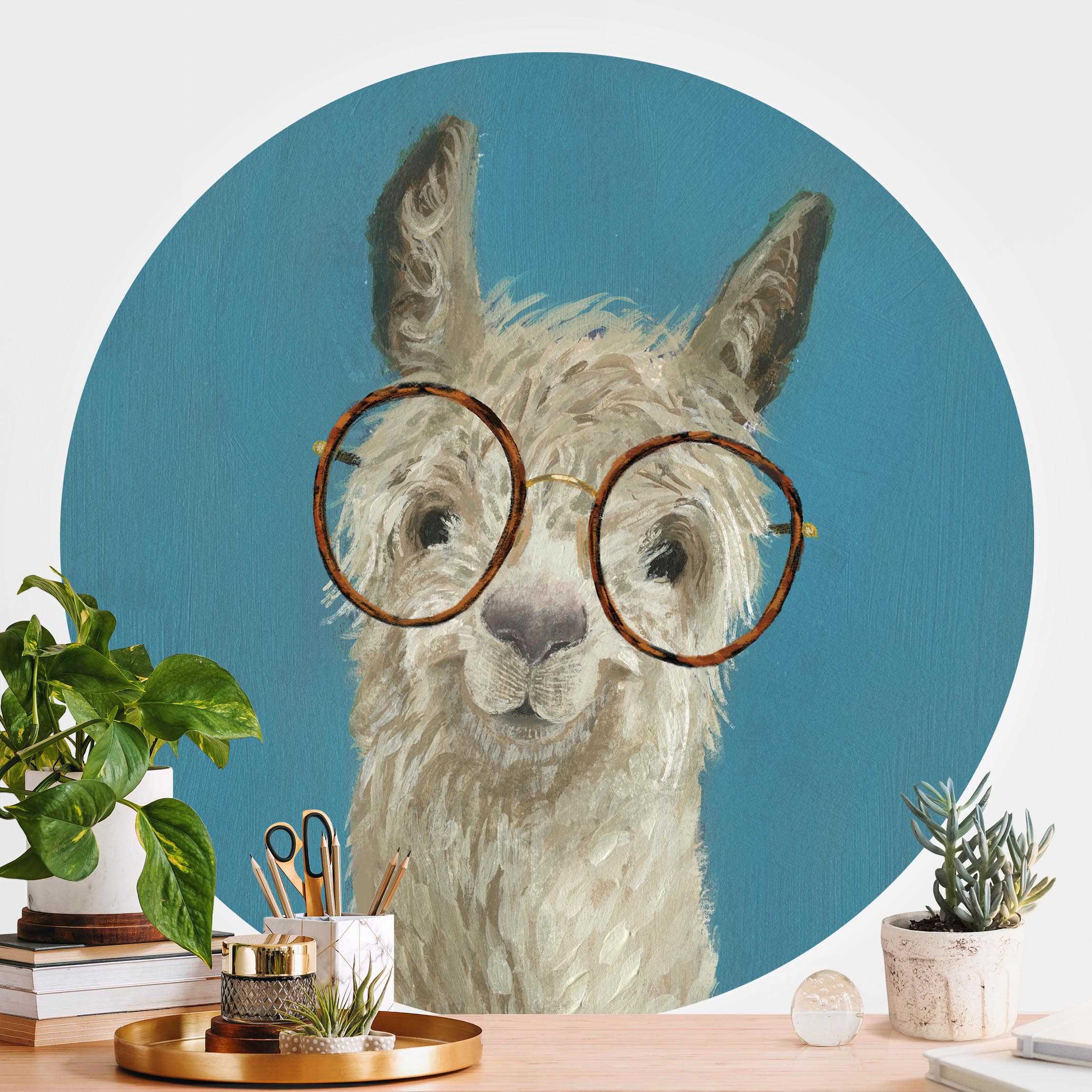 Runde Fototapete selbstklebend Lama mit Brille I