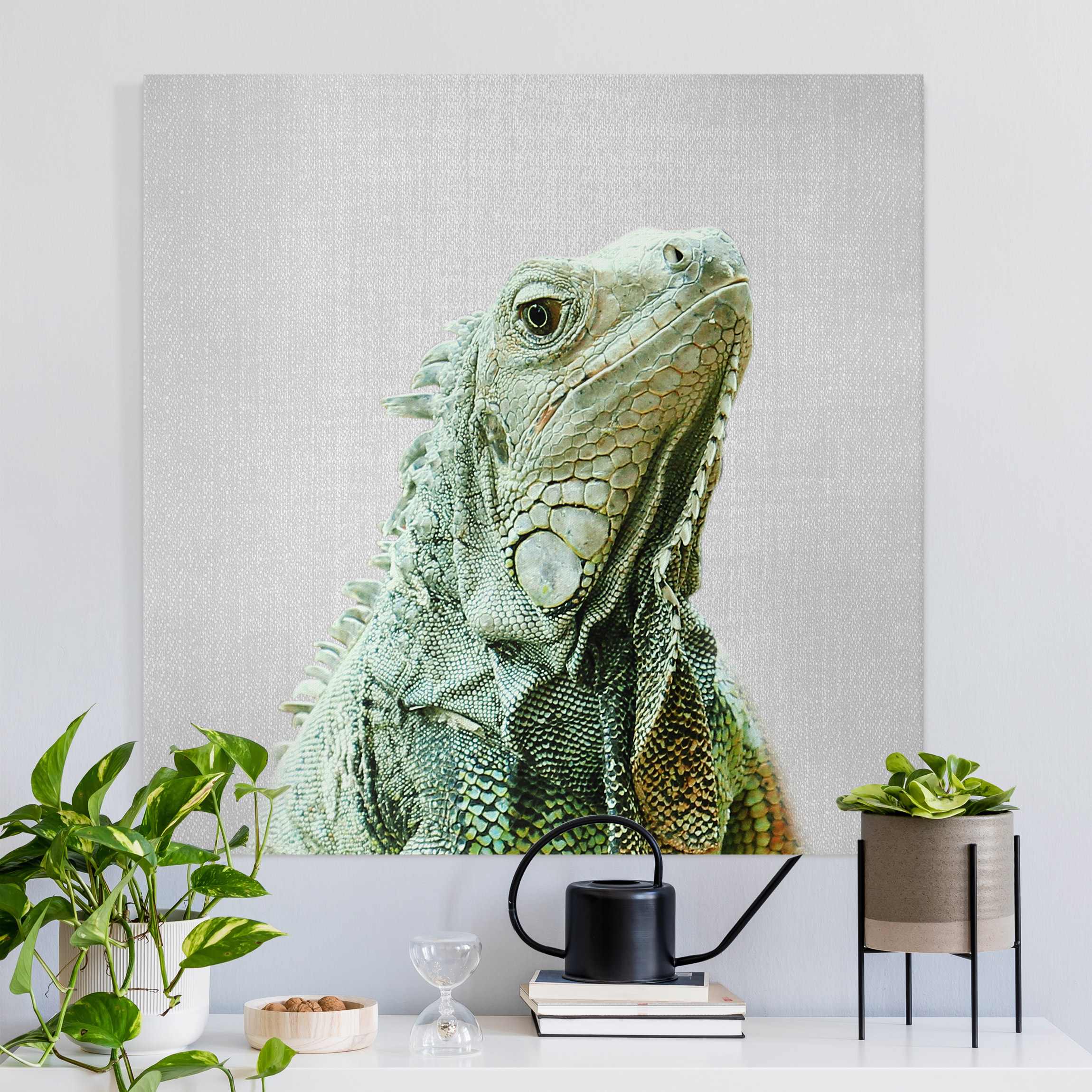 Leinwandbild Leguan Louis