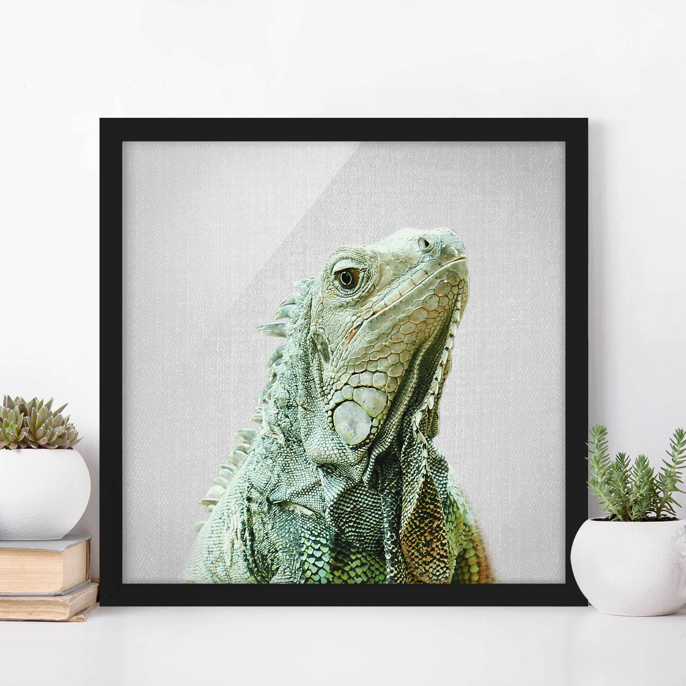 Bild mit Rahmen Leguan Louis