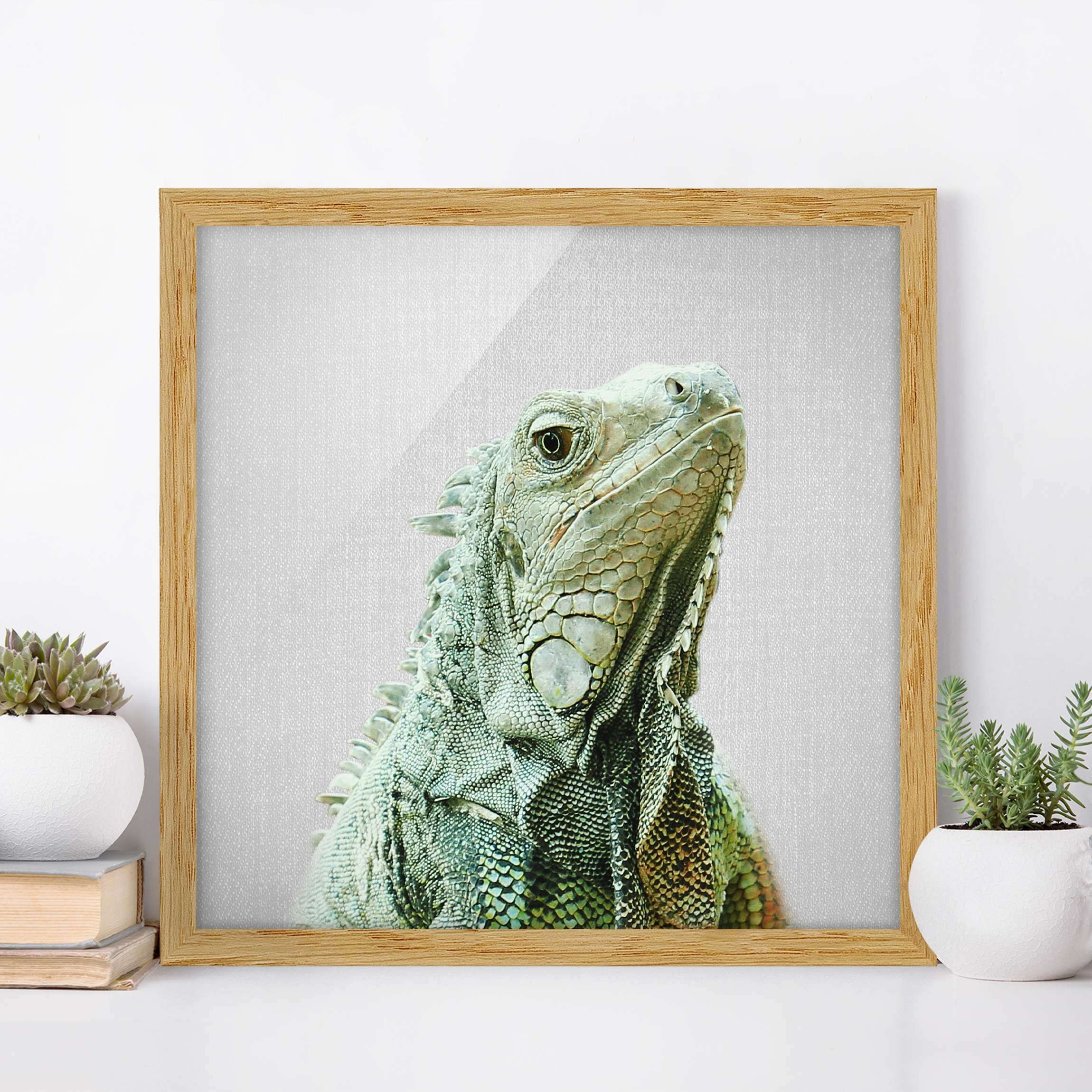Bild mit Rahmen Leguan Louis