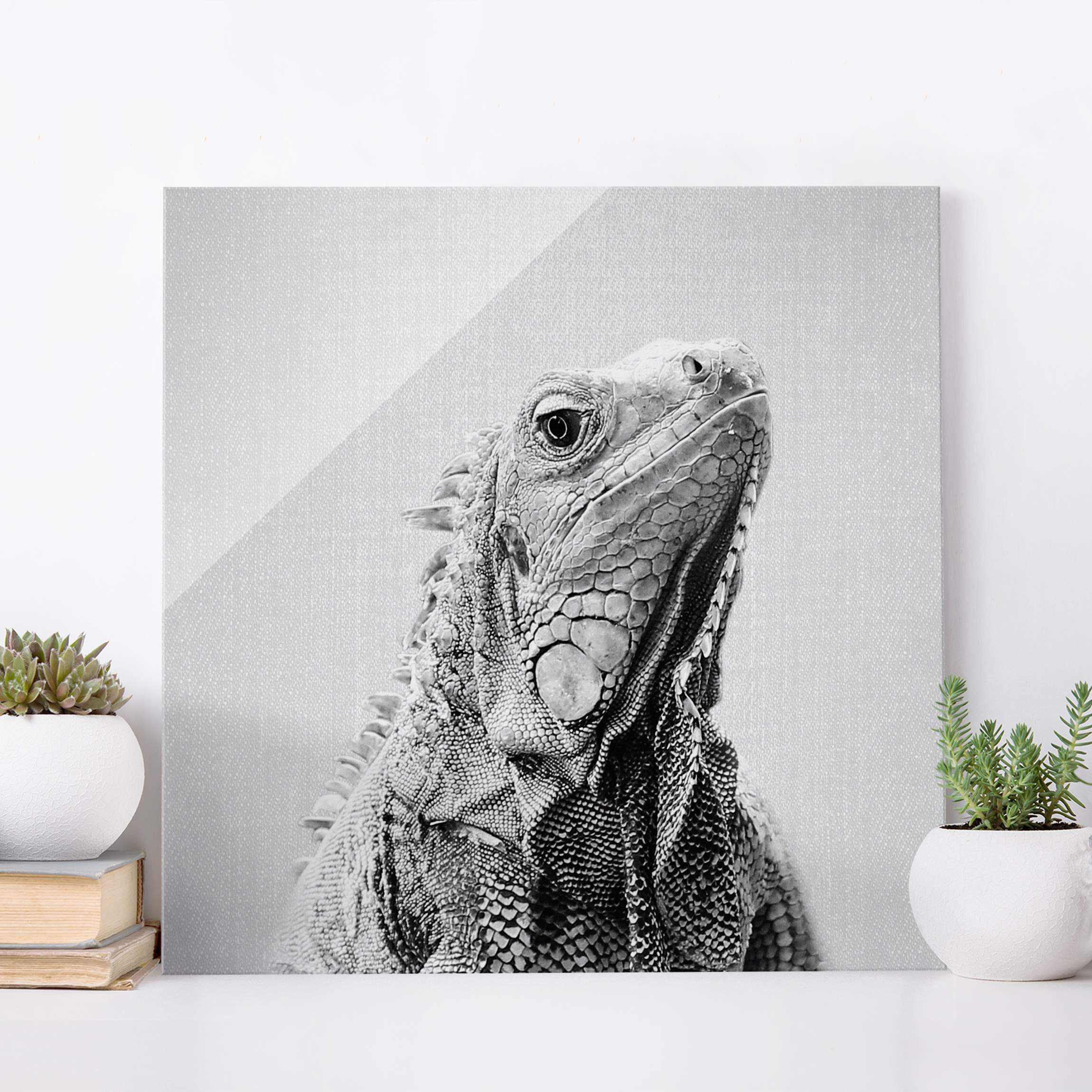 Glasbild Leguan Louis Schwarz Weiß