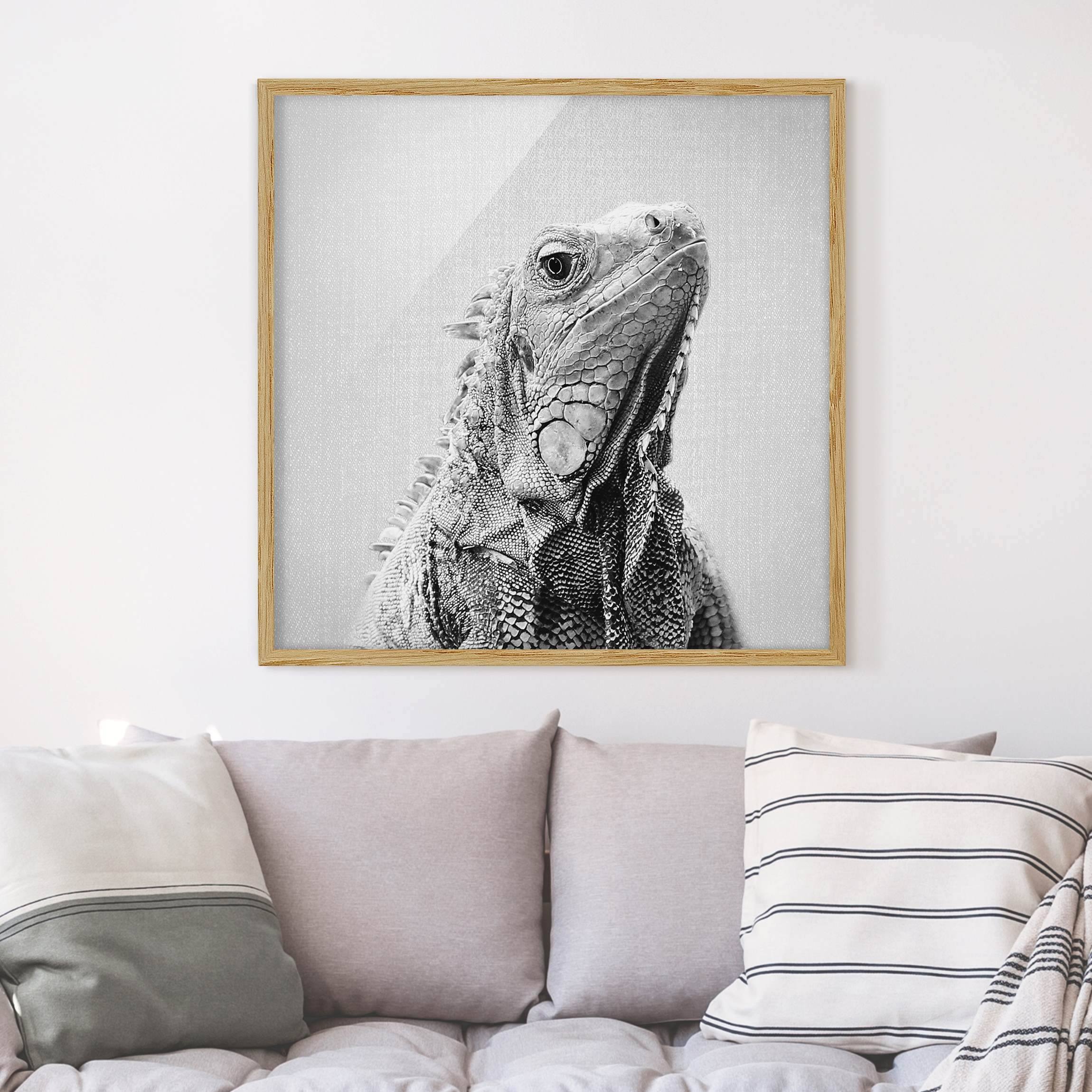 Bild mit Rahmen Leguan Louis Schwarz Weiß