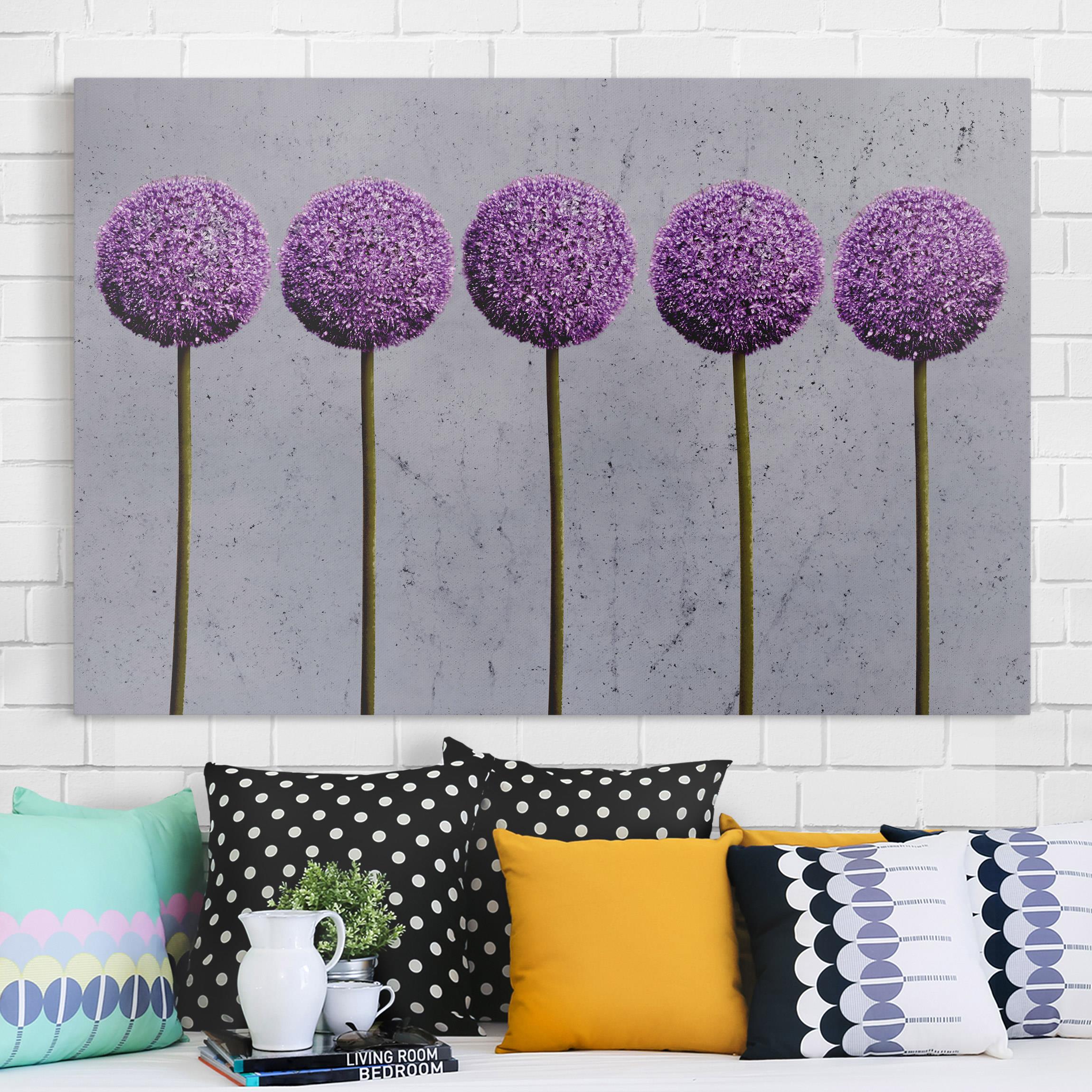 Leinwandbild - Querformat Allium Kugel-Blüten