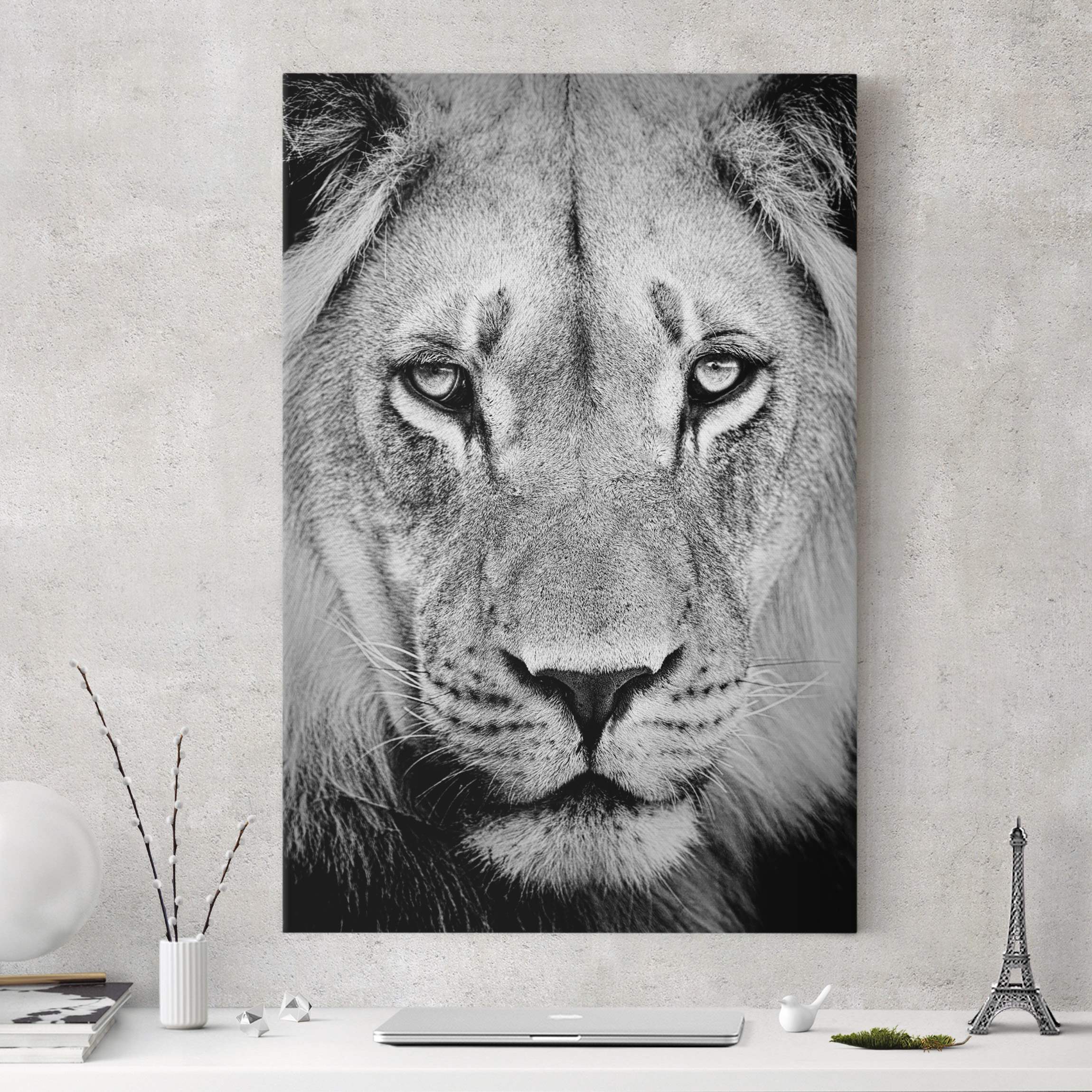 Leinwandbild Tiere Alter Löwe