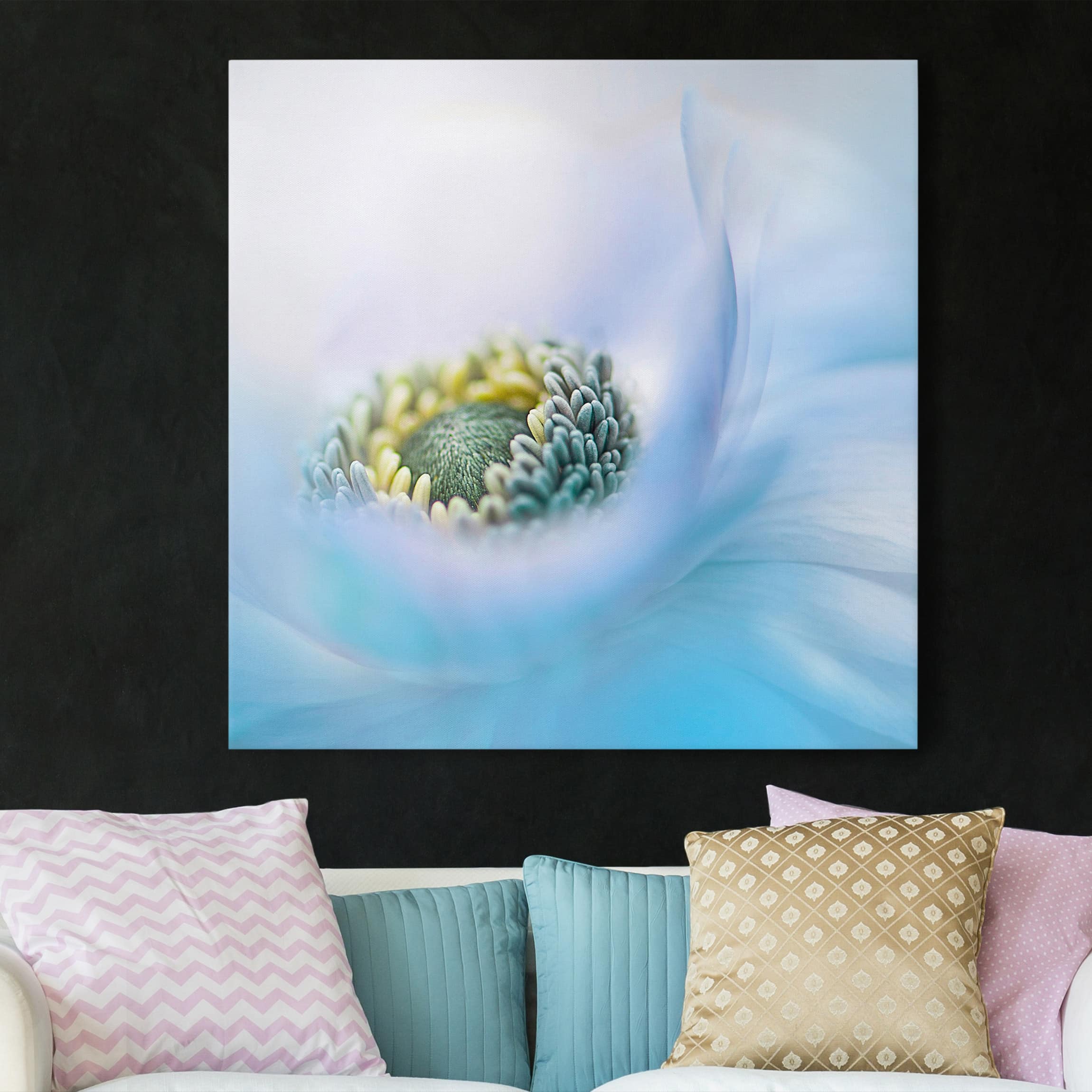 Leinwandbild Blumen Anemone auf dem Fluss