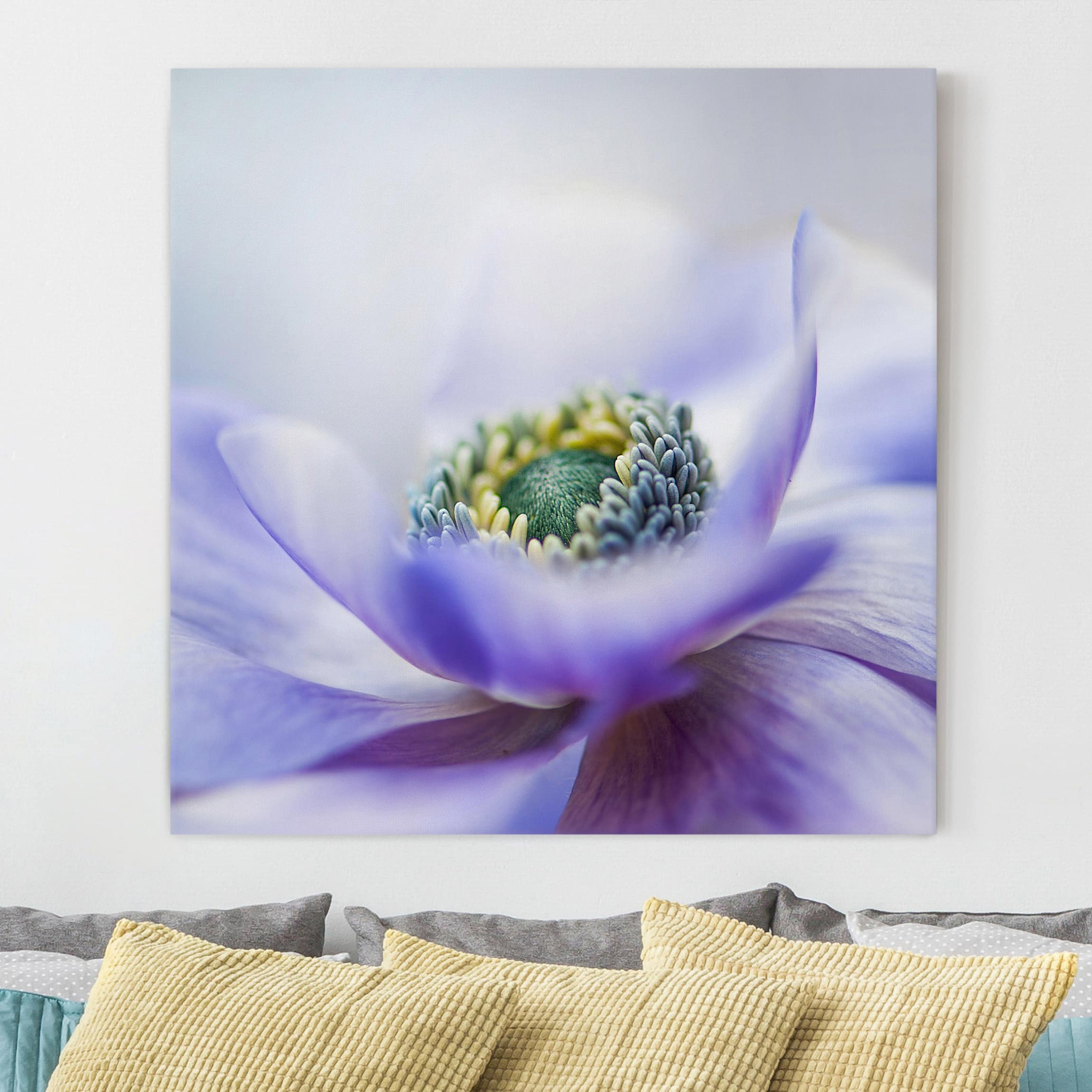 Leinwandbild Blumen Anemone De Caen