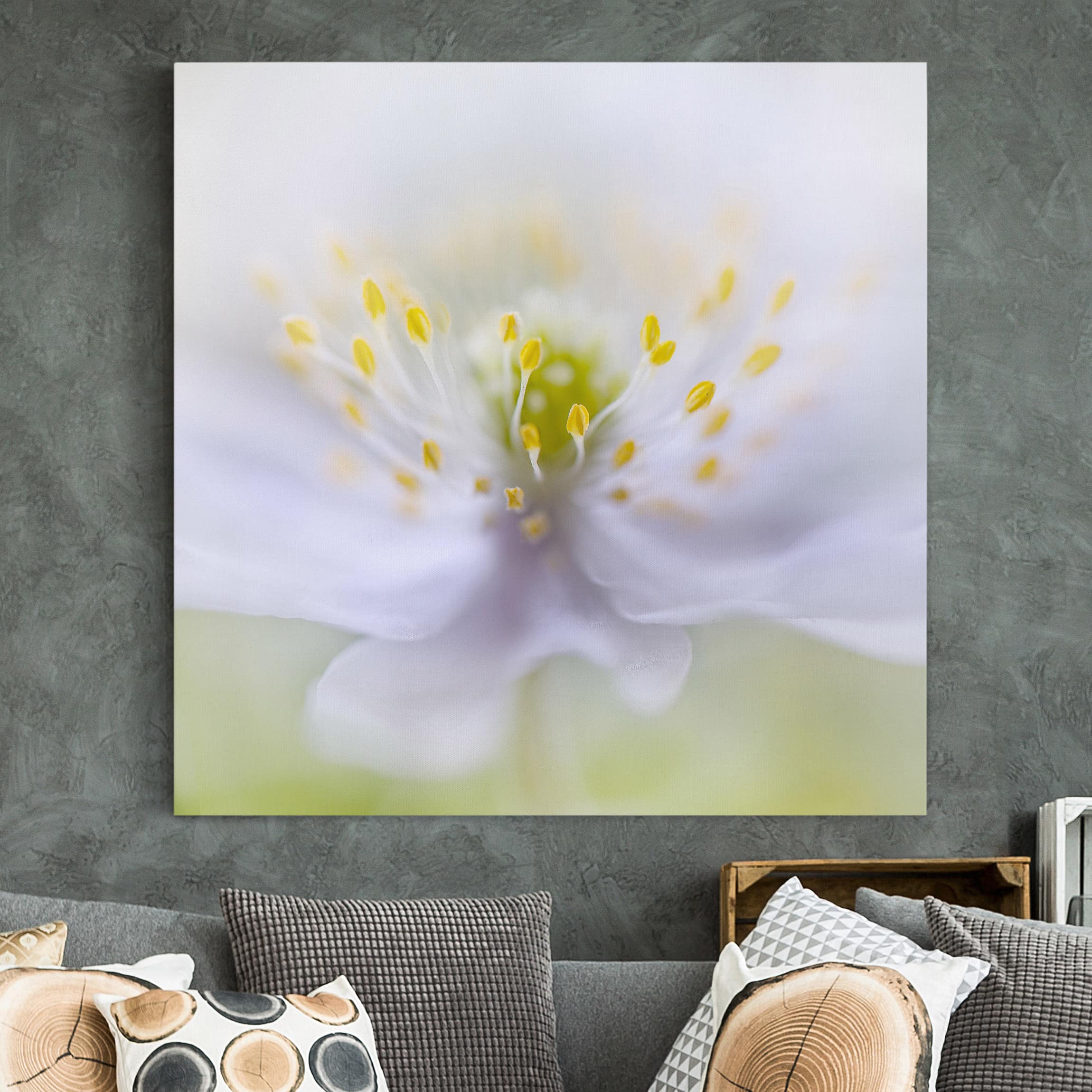 Leinwandbild Blumen Anemonen Schönheit