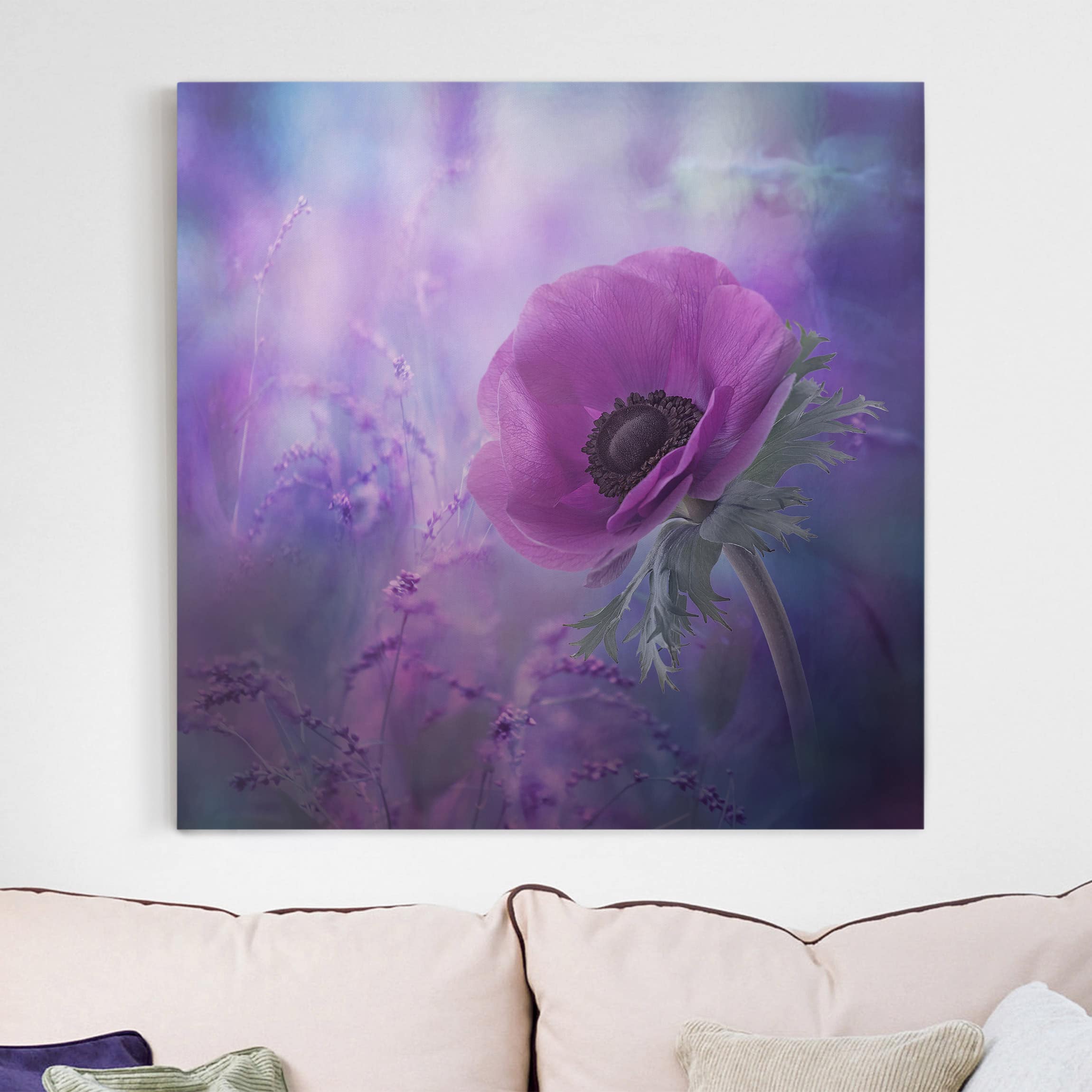 Leinwandbild Blumen Anemonenblüte in Violett