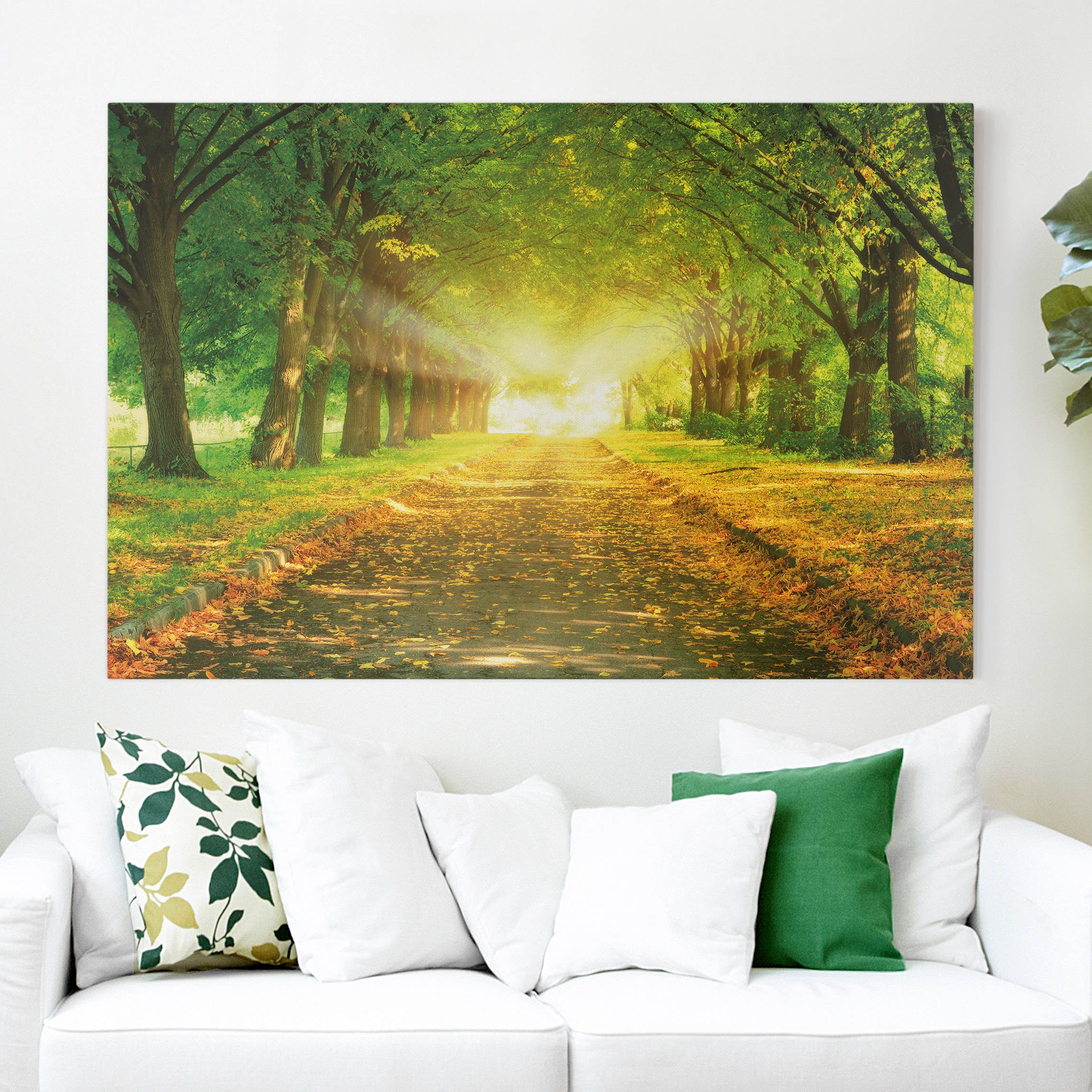 Leinwandbild - Querformat Autumn Avenue