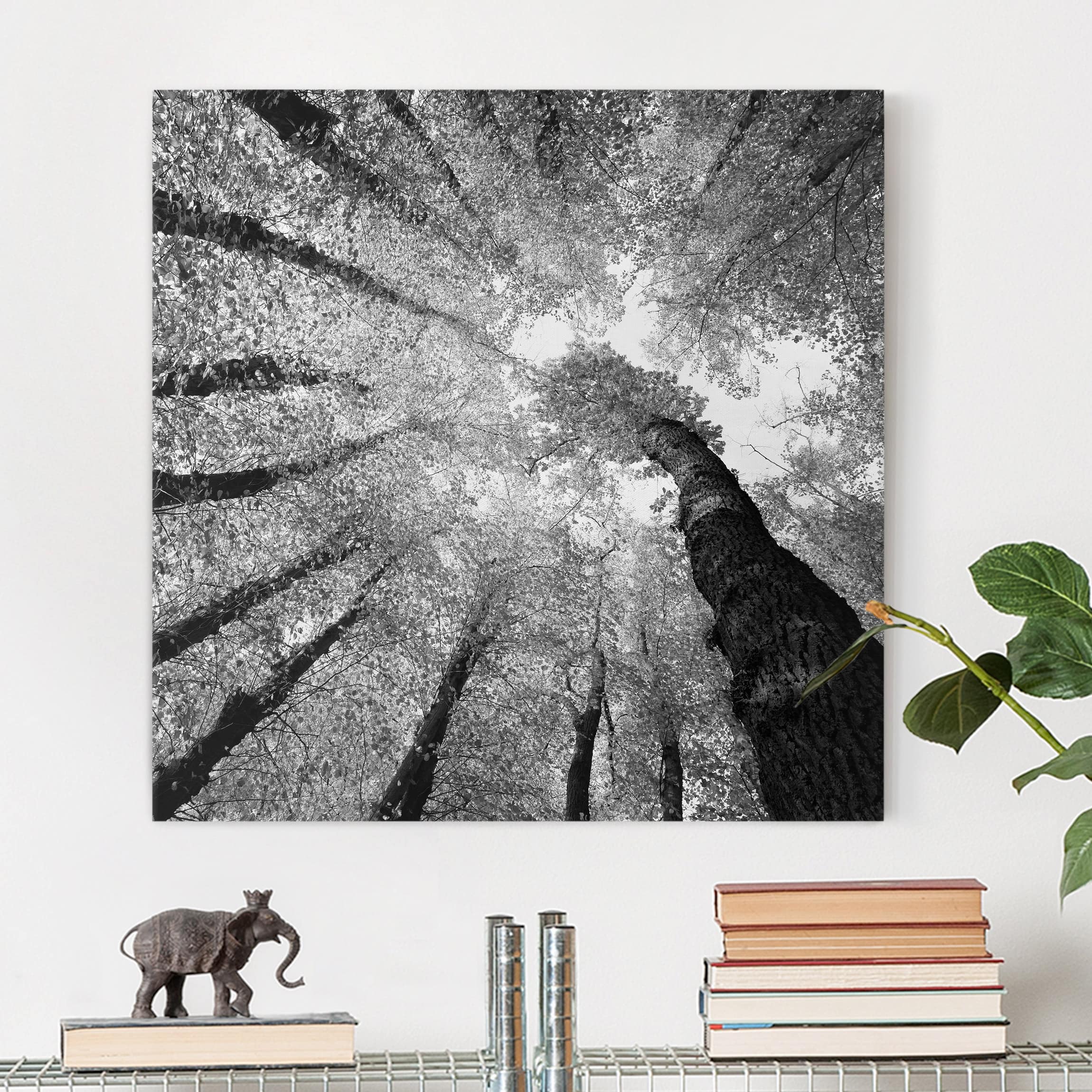 Leinwandbild - Quadrat Bäume des Lebens II