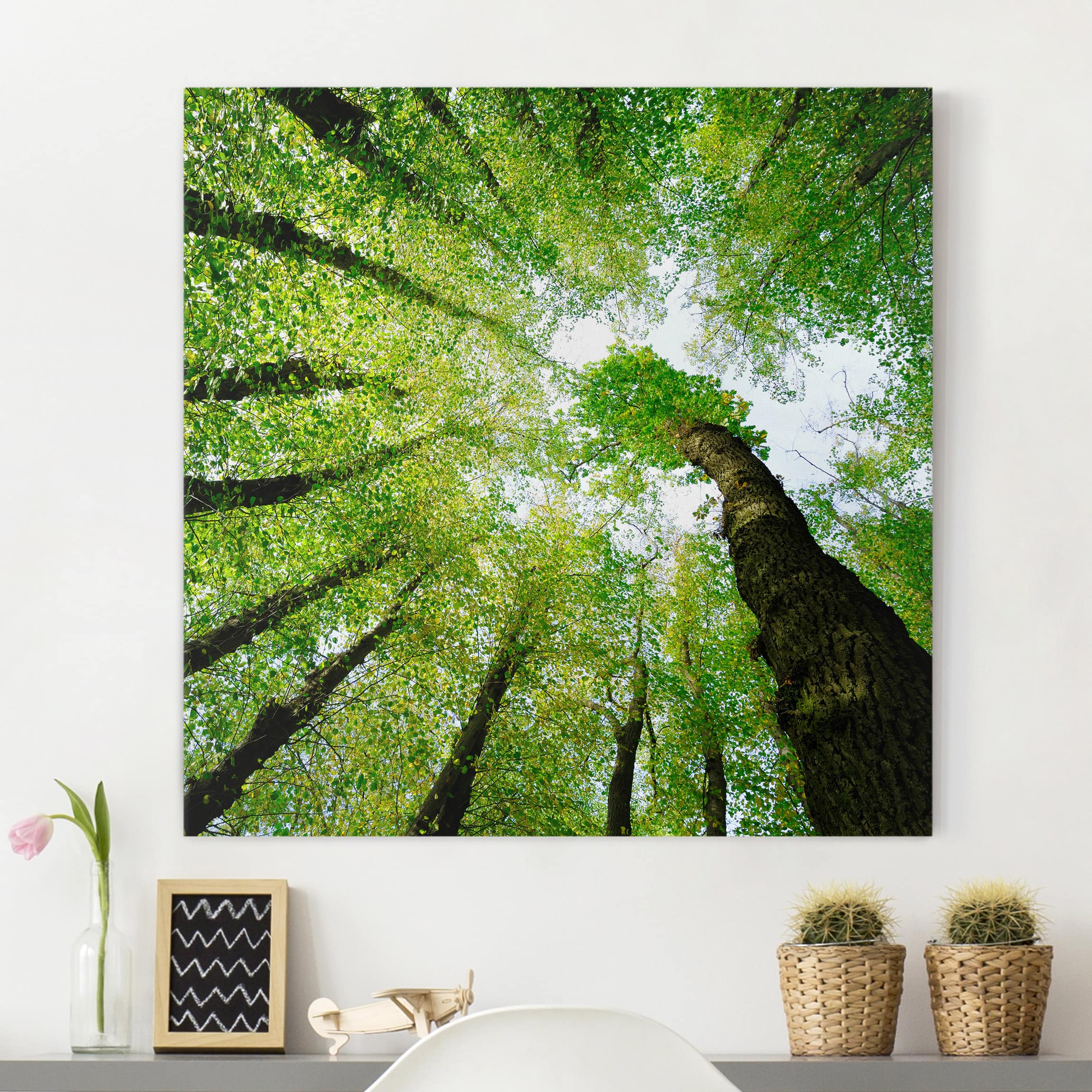Leinwandbild - Quadrat Bäume des Lebens