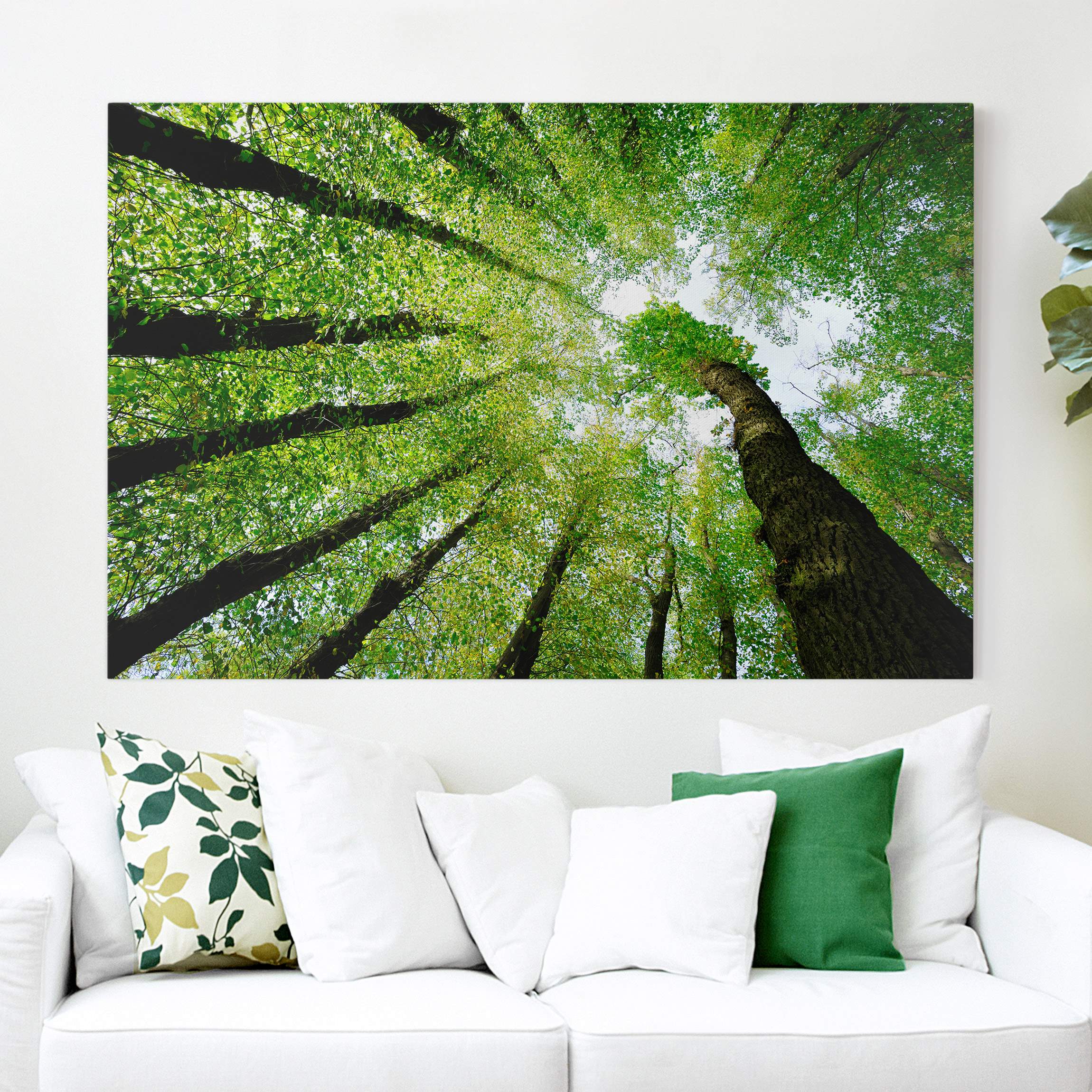 Leinwandbild - Querformat Bäume des Lebens