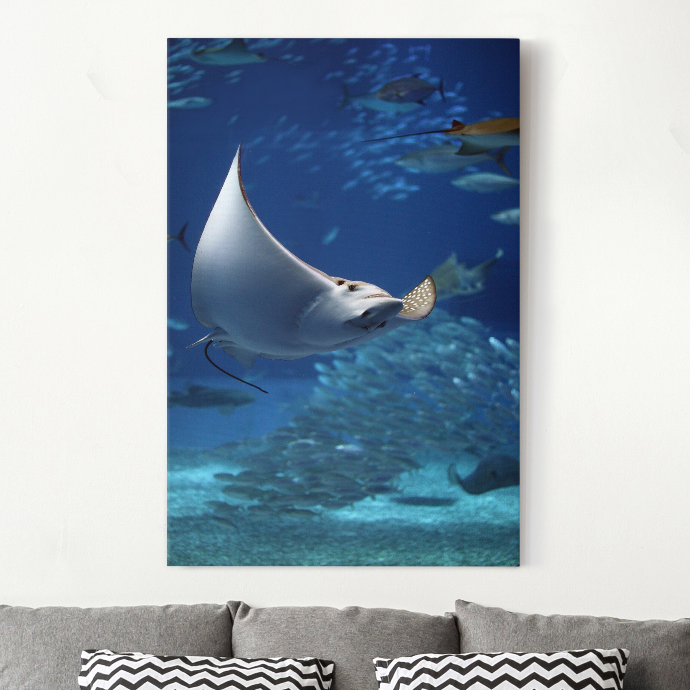 Leinwandbild - Hochformat Batoidea