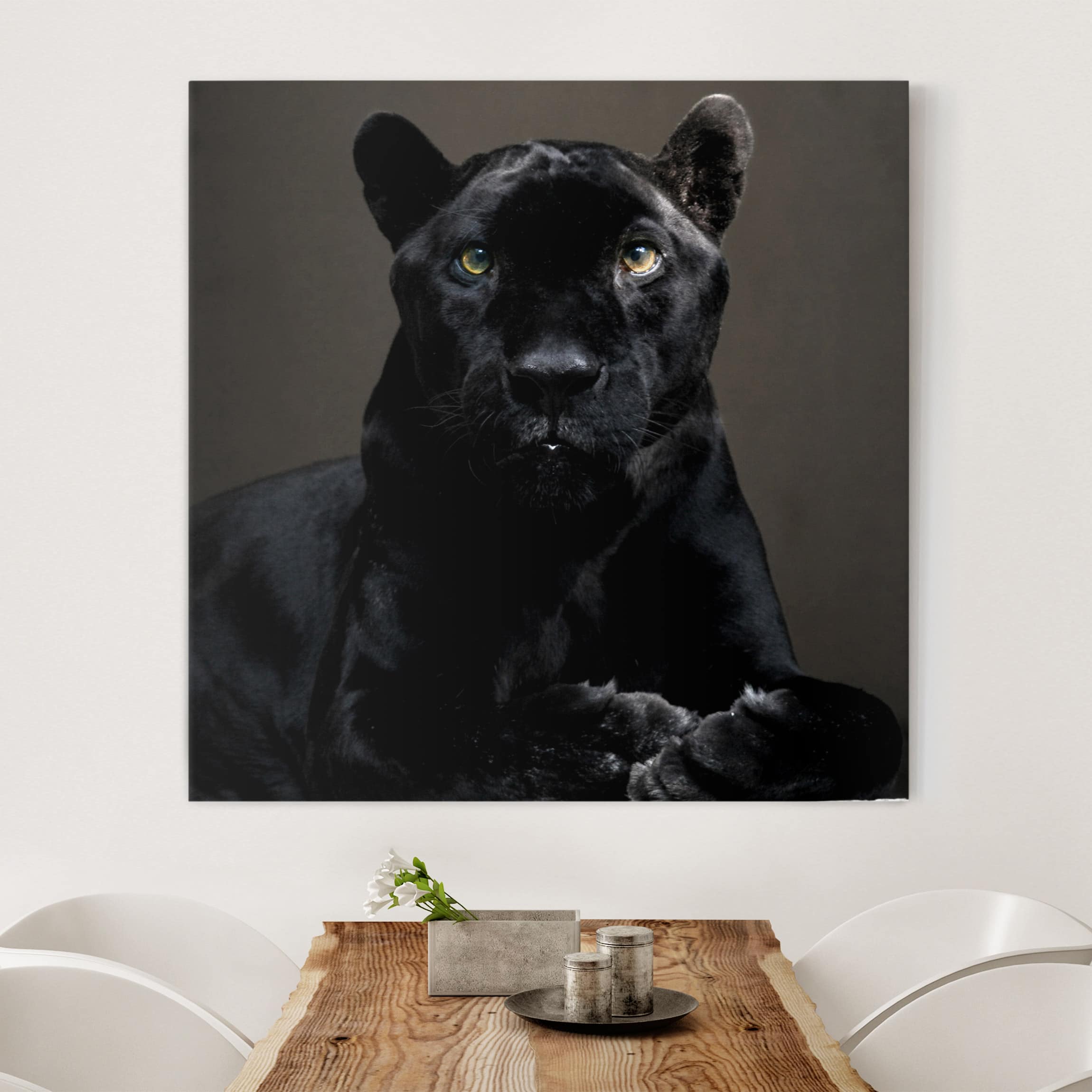 Leinwandbild - Quadrat Black Puma