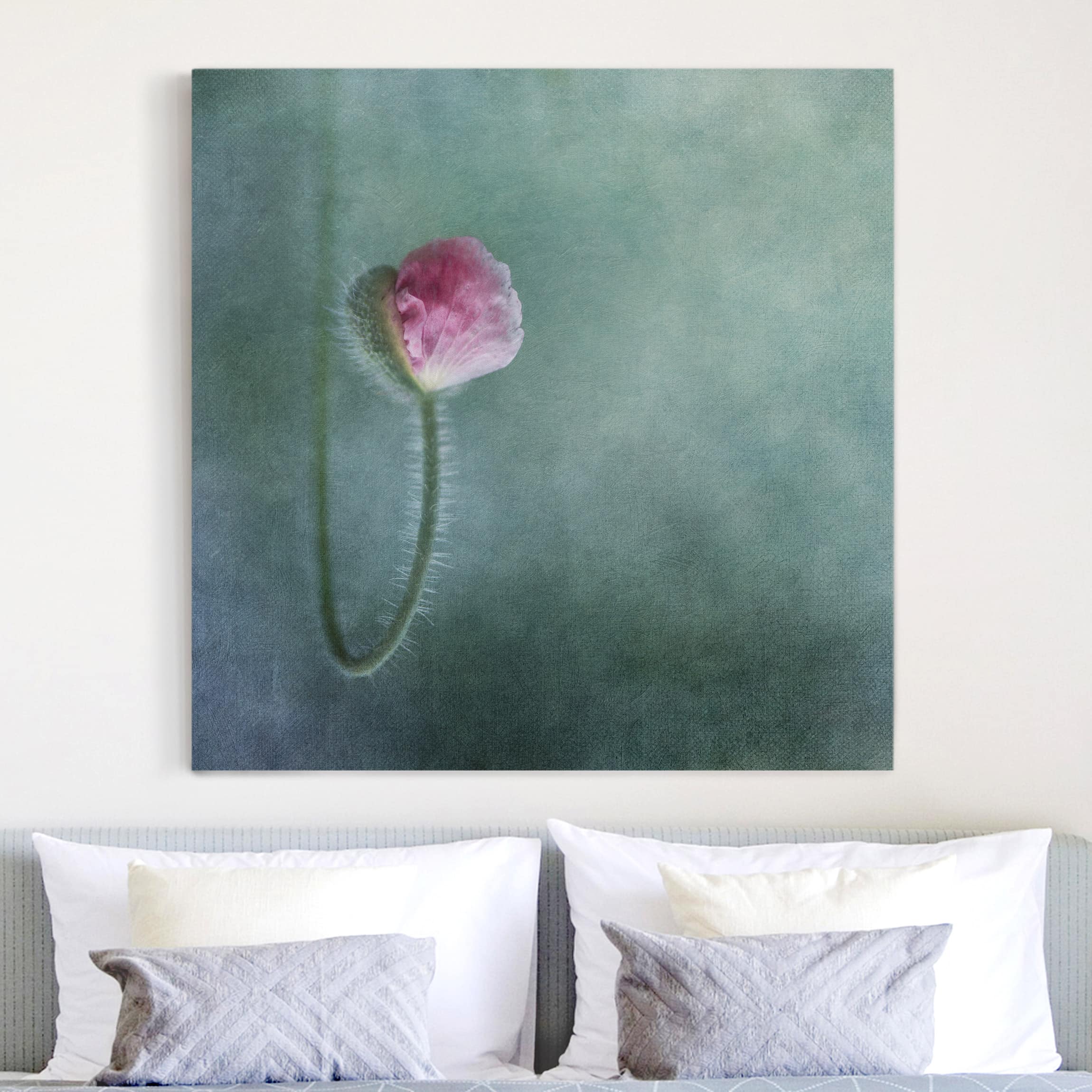 Leinwandbild Blumen Blüte in Rosa