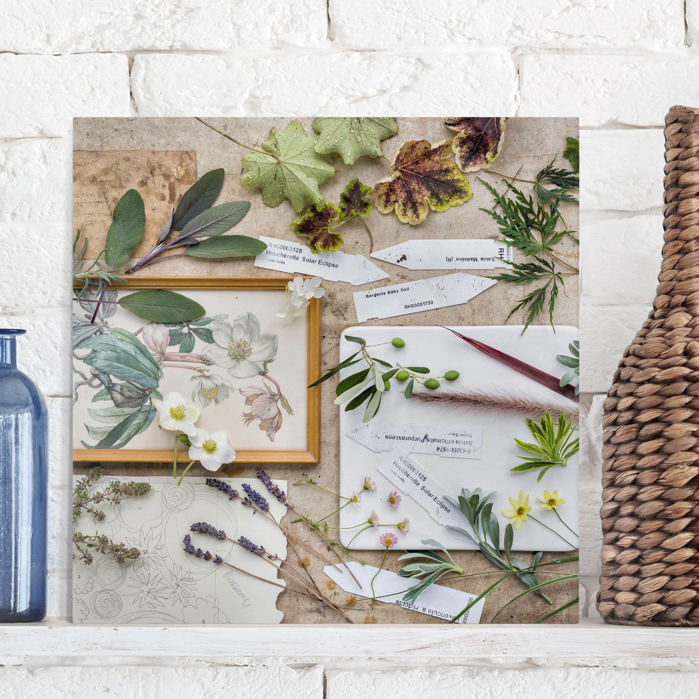 Leinwandbild Küche Blumen und Gartenkräuter Vintage