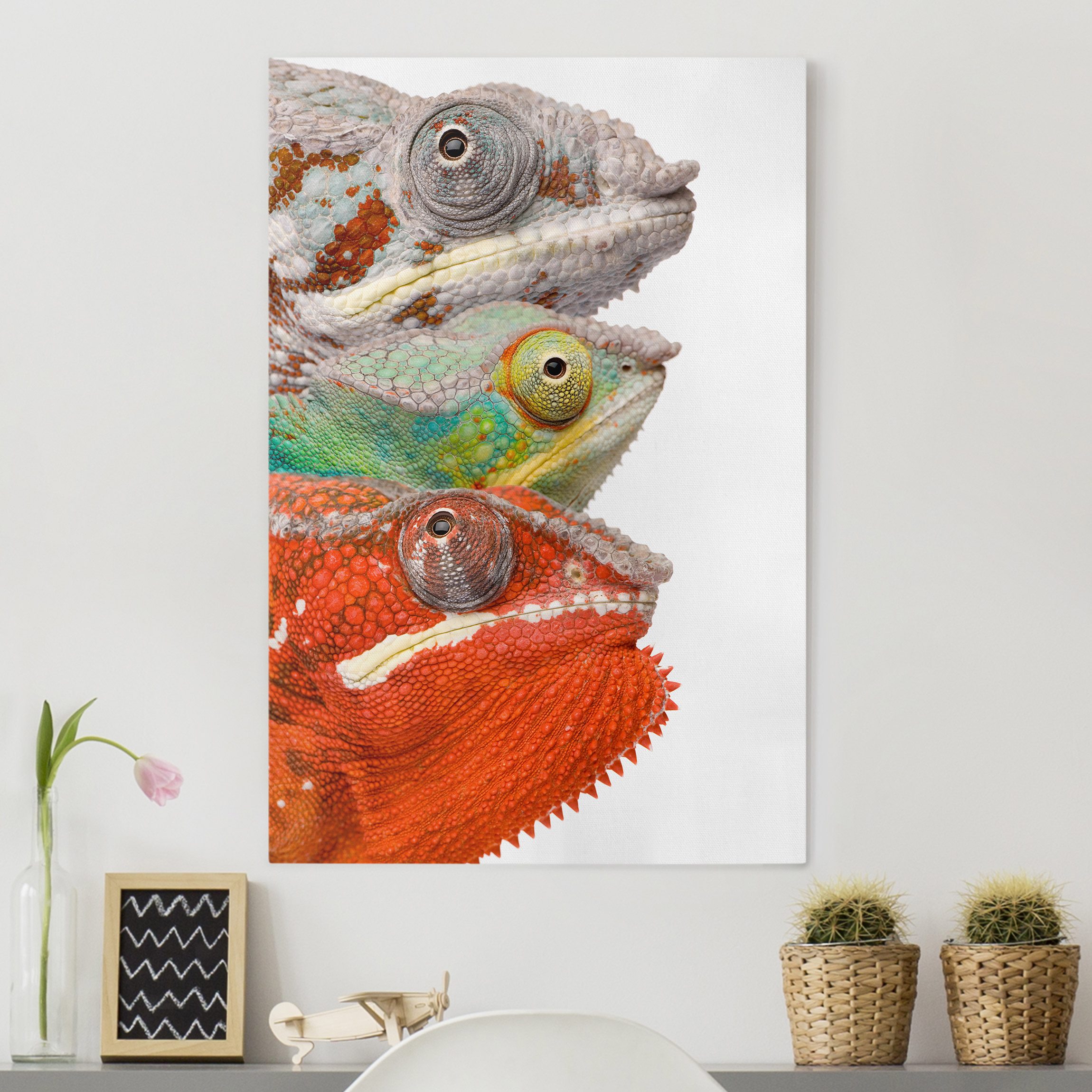 Leinwandbild - Hochformat Bunte Chamäleon