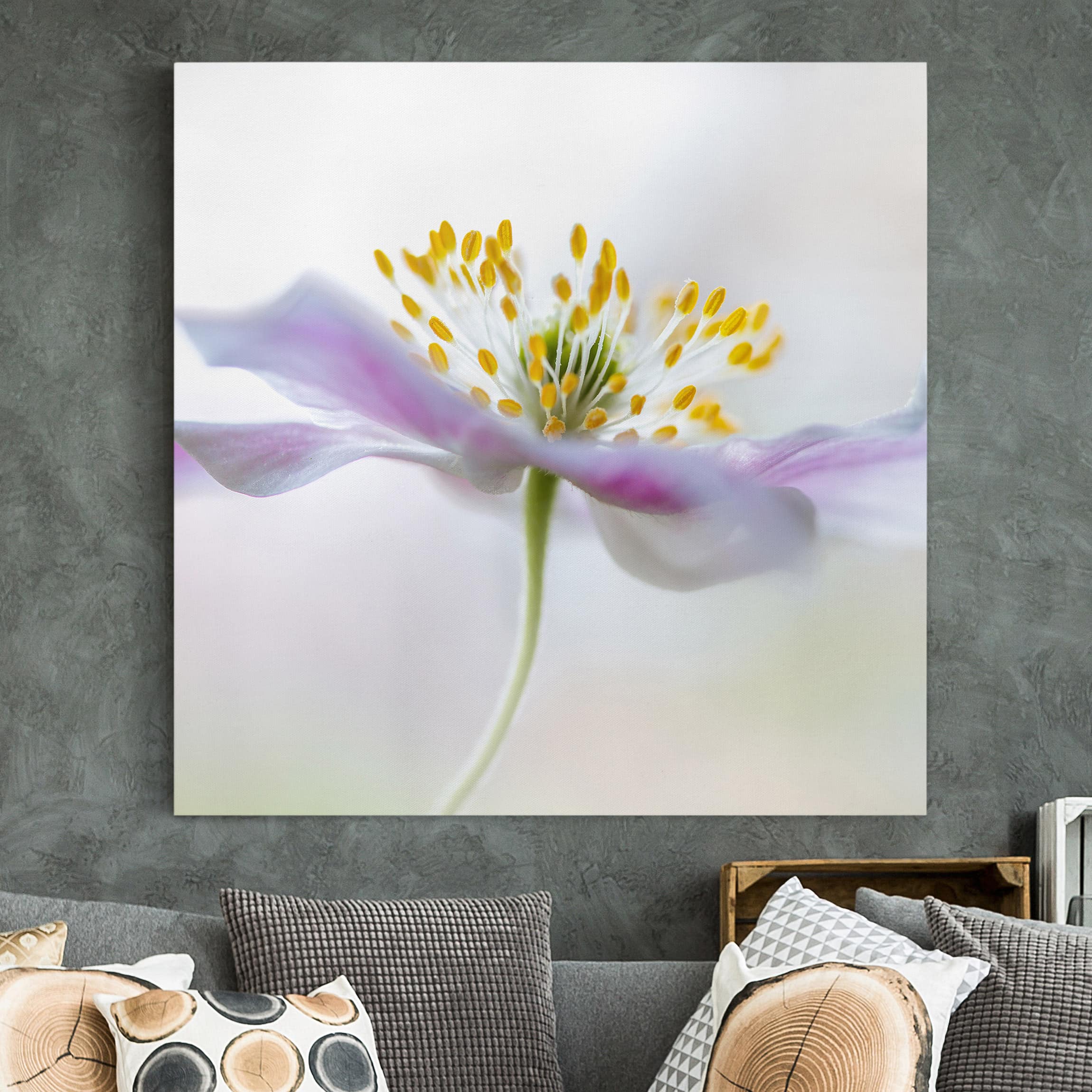 Leinwandbild Blumen Buschwindröschen in Weiß