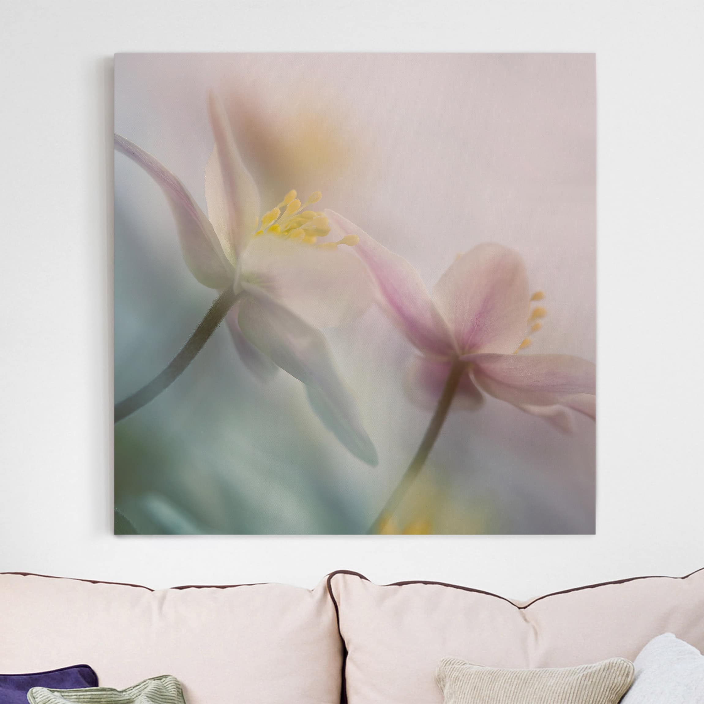 Leinwandbild Blumen Buschwindröschen