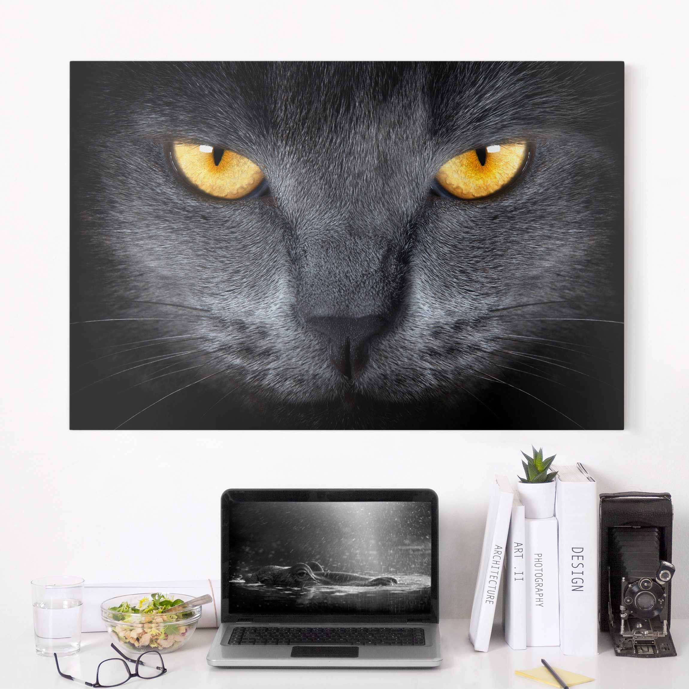 Leinwandbild - Querformat Cats Gaze