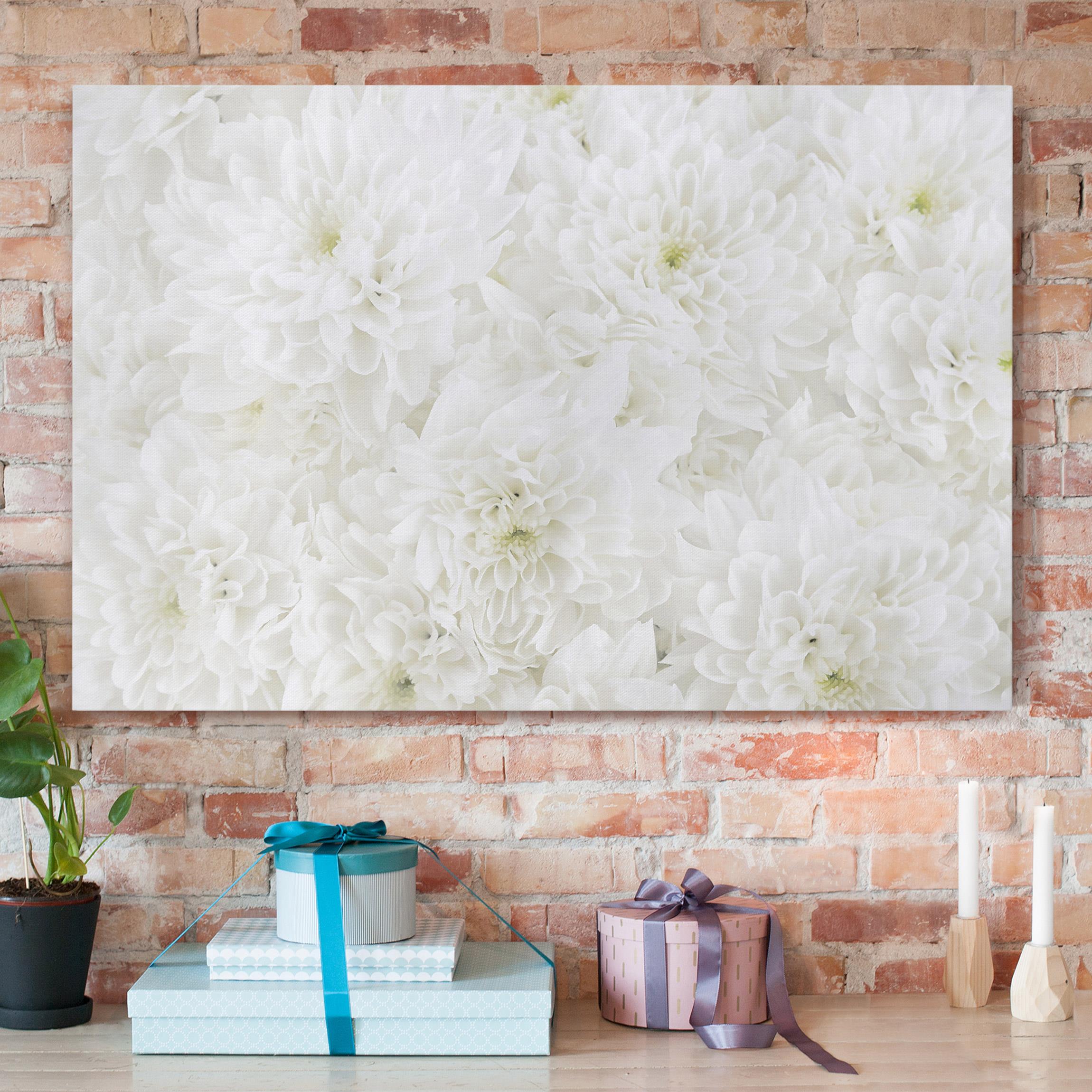 Leinwandbild Blumen Dahlien Blumenmeer weiß