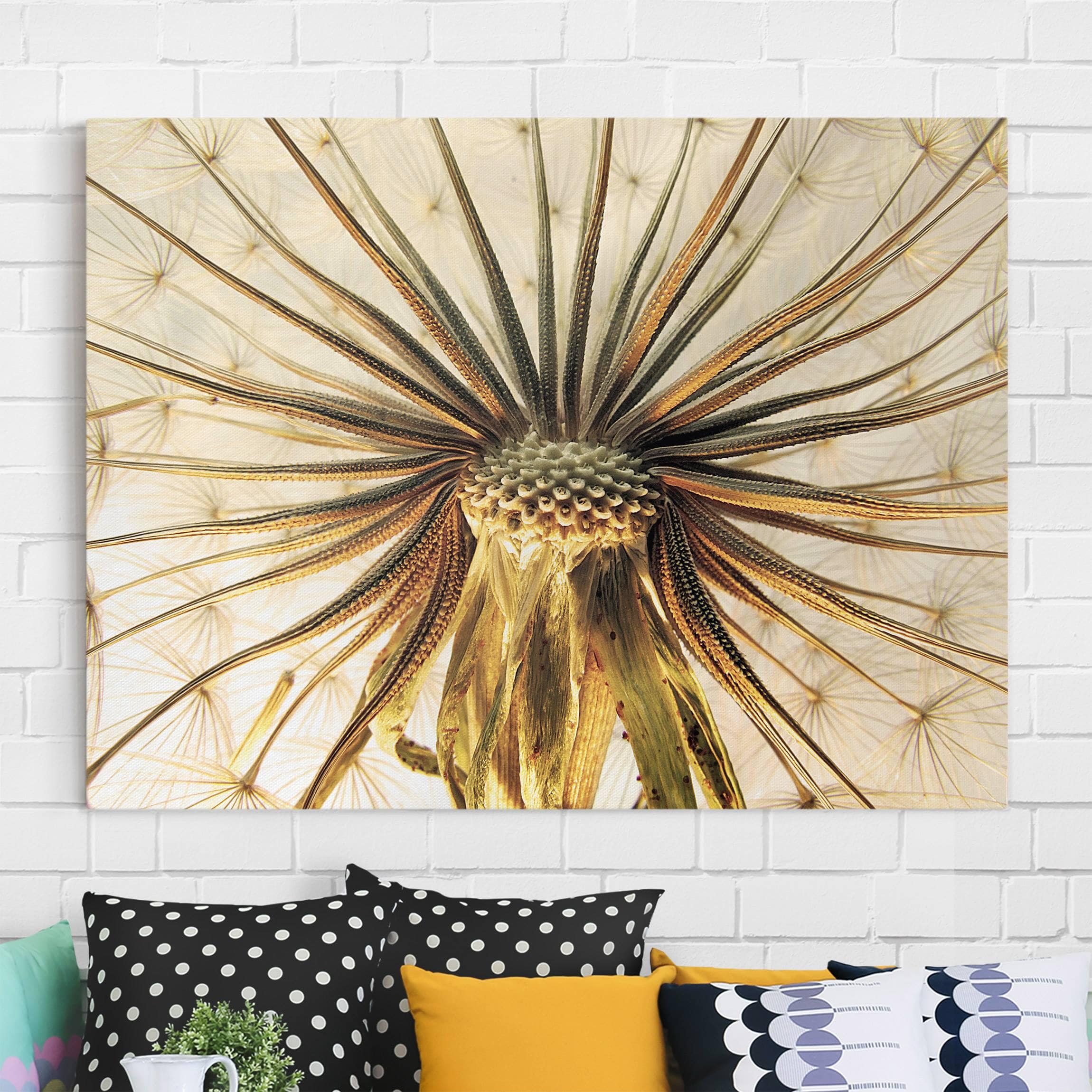Leinwandbild Blumen Dandelion Close Up