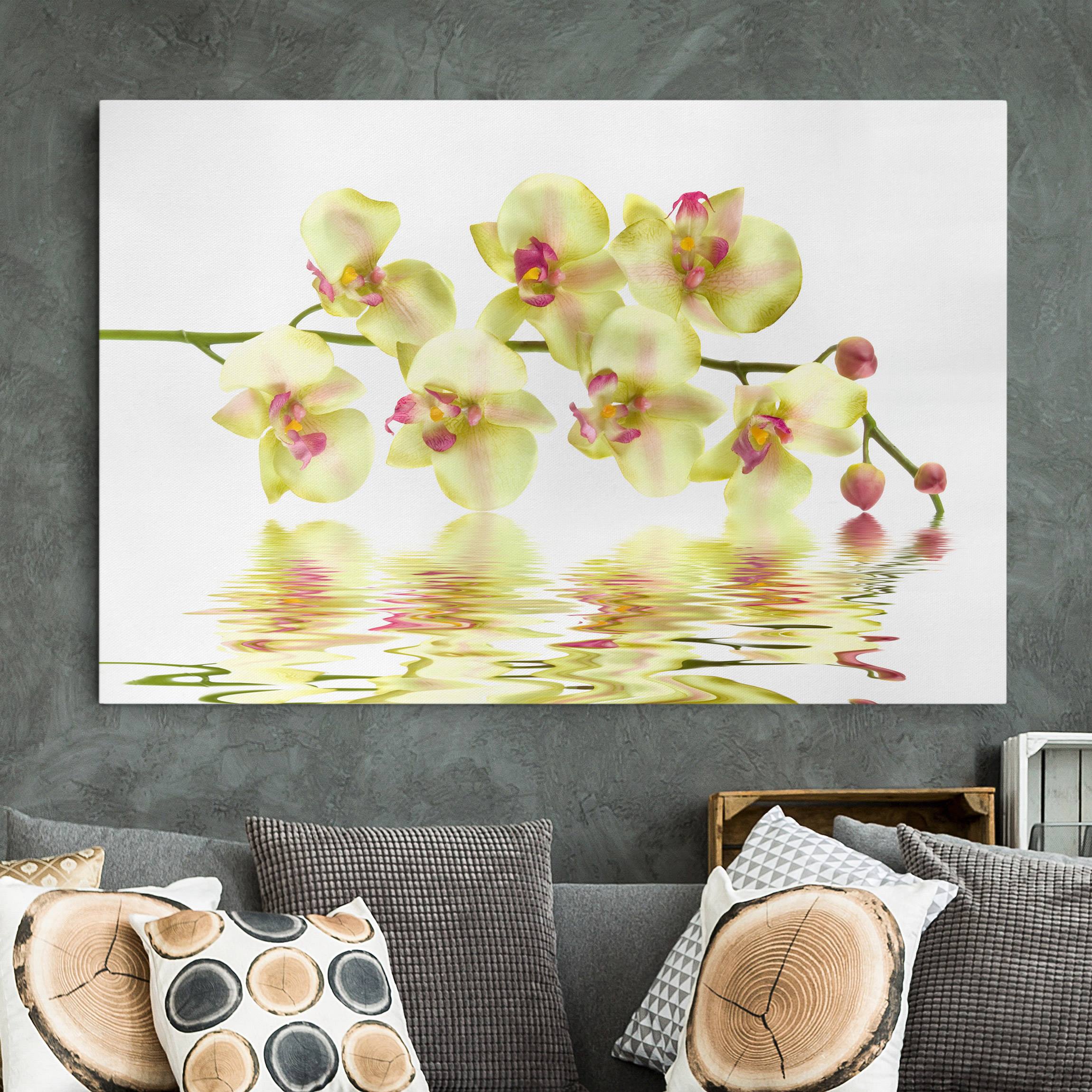 Leinwandbild Blumen Dreamy Orchid Waters