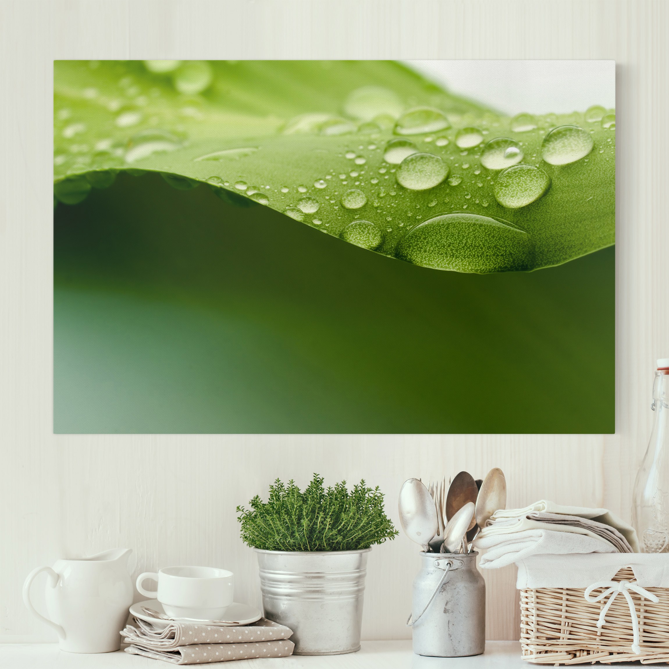 Leinwandbild Blumen Drops of Nature