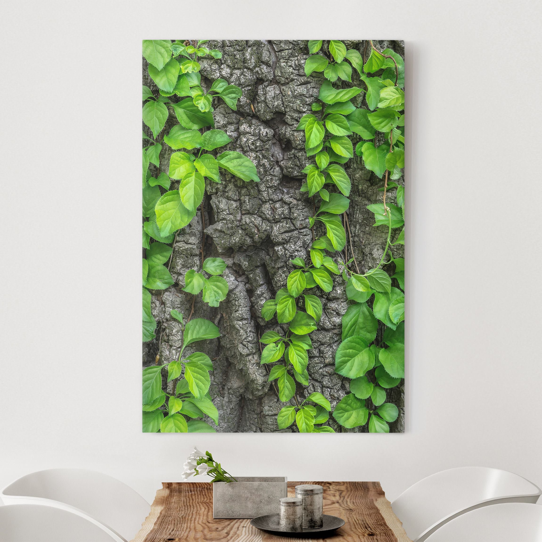 Leinwandbild - Hochformat Efeuranken Baumrinde