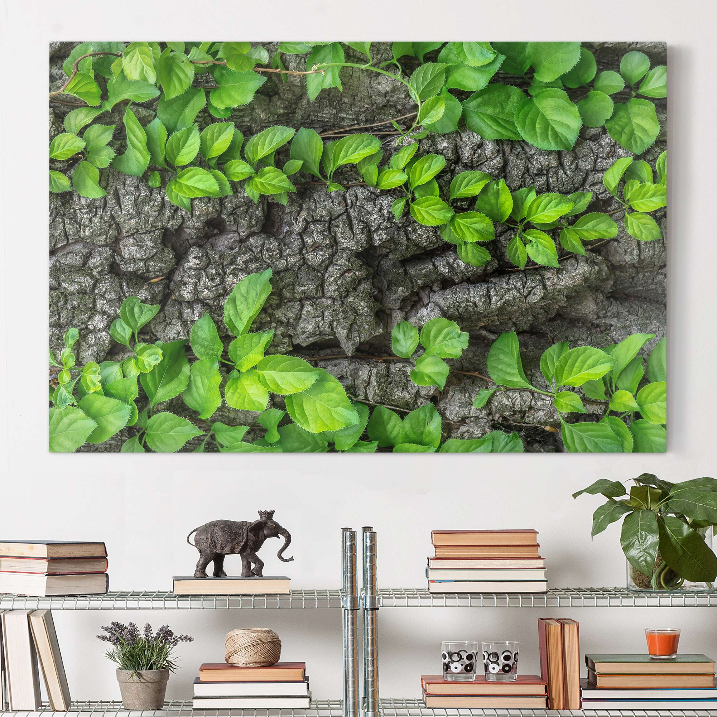 Leinwandbild - Querformat Efeuranken Baumrinde