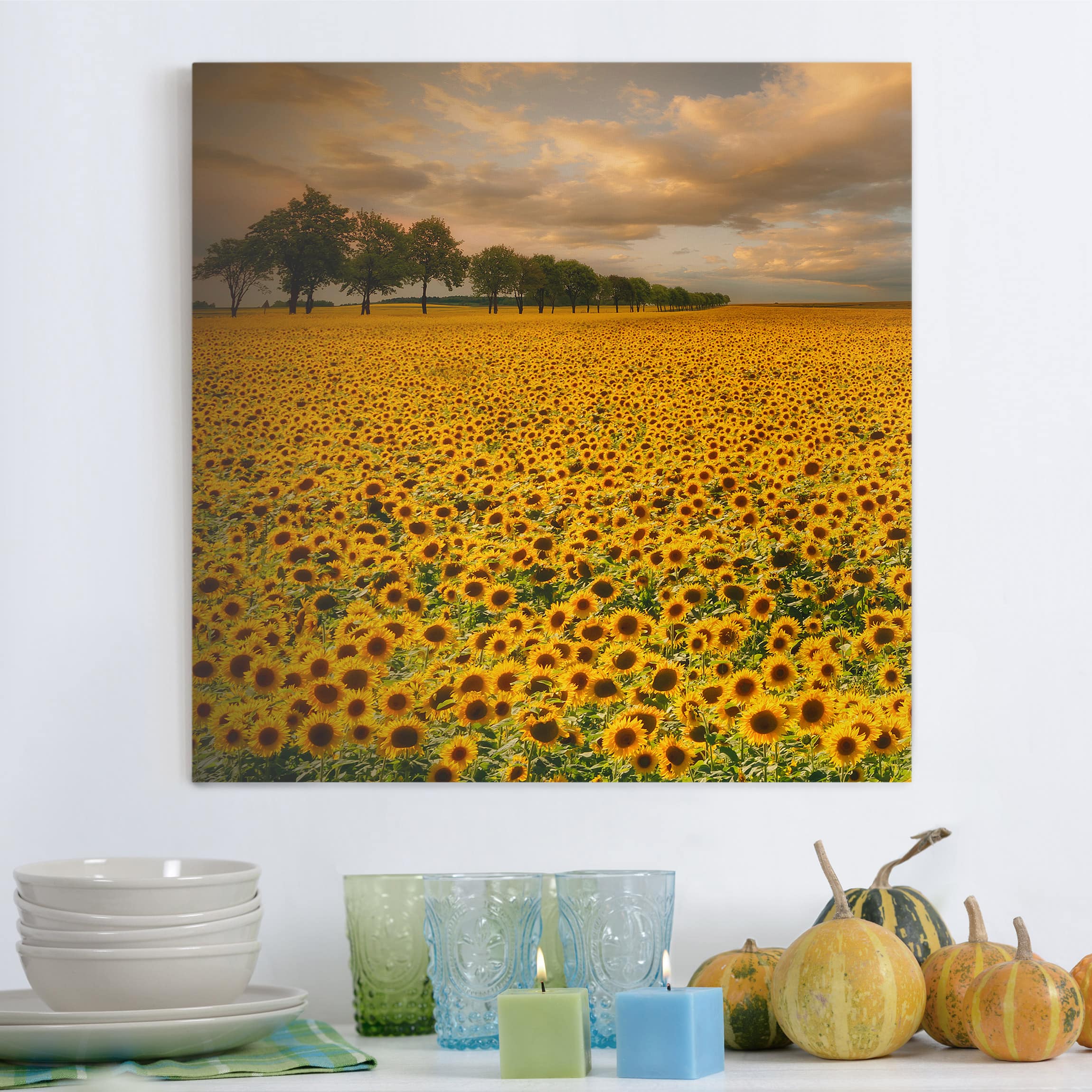 Leinwandbild Blumen Feld mit Sonnenblumen