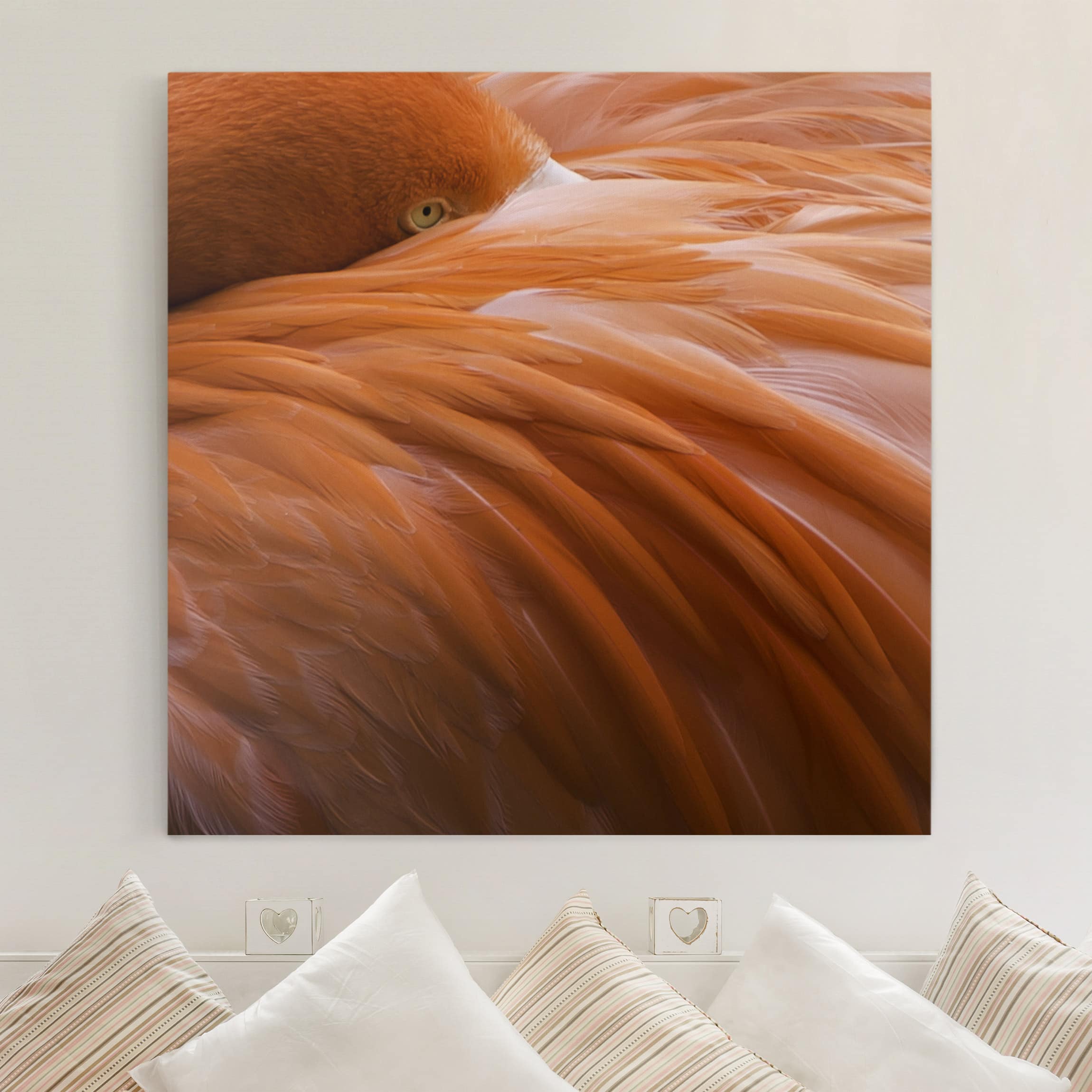 Leinwandbild Tiere Flamingofedern