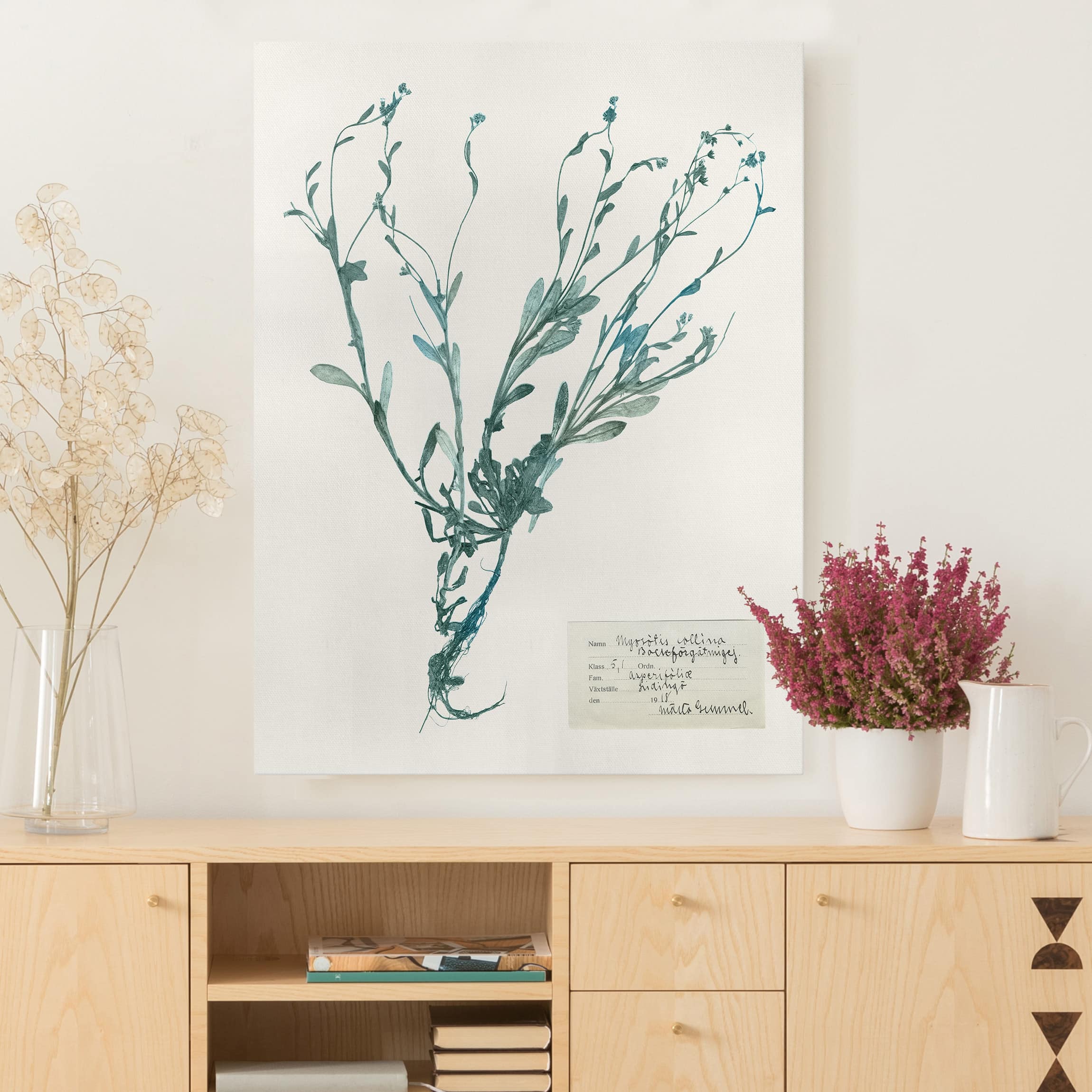 Leinwandbild - Hochformat Gepresste Blumen - Vergissmeinnicht