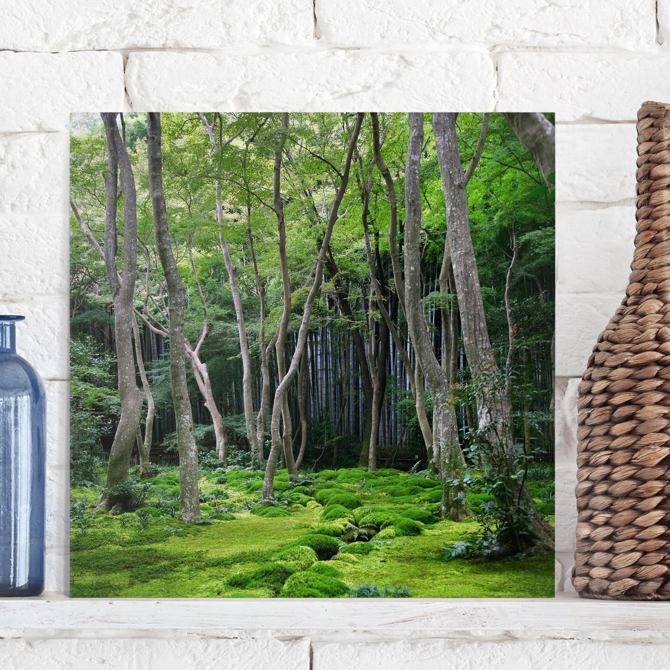 Leinwandbild - Quadrat Growing Trees