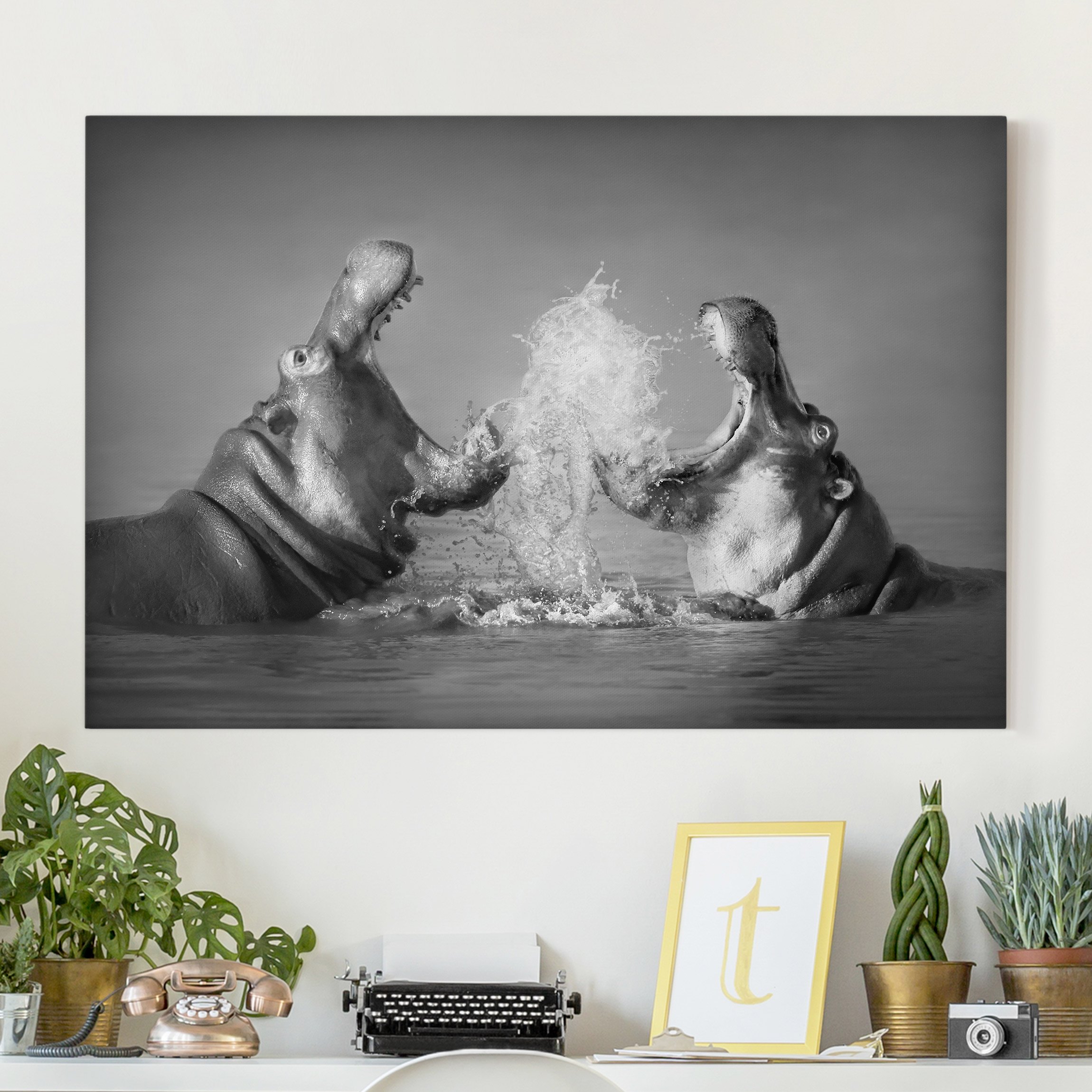 Leinwandbild Tiere Hippo Fight