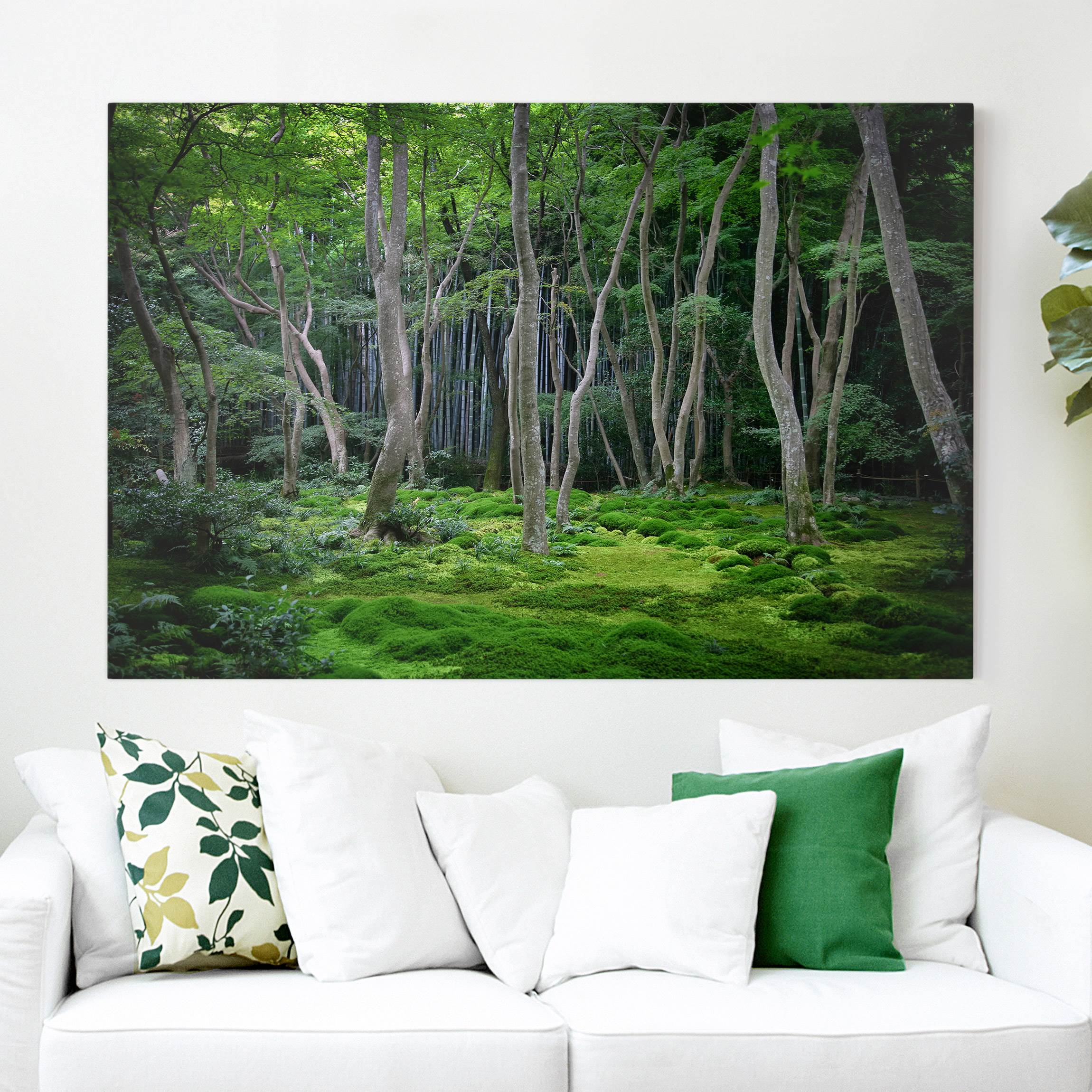 Leinwandbild - Querformat Japanischer Wald