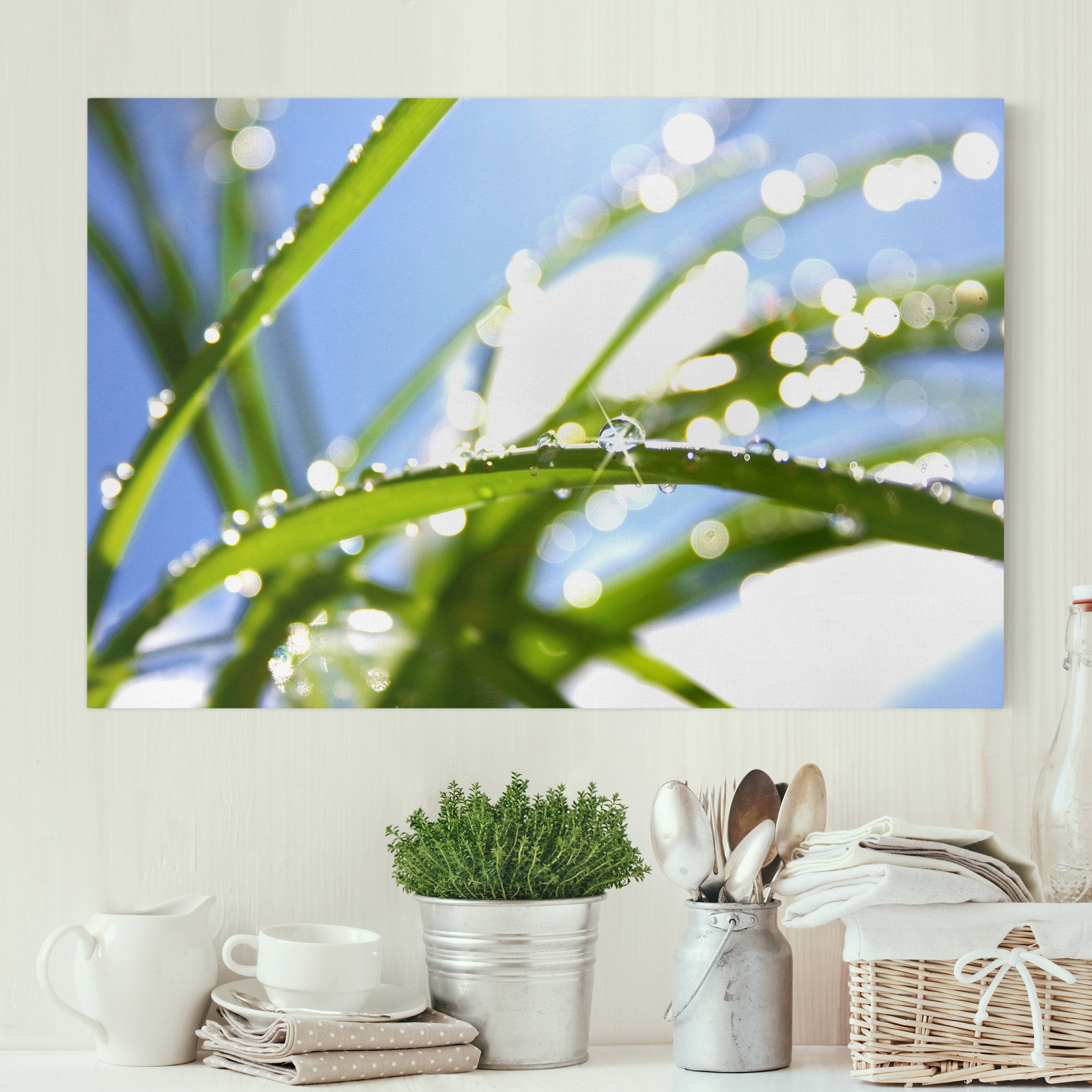 Leinwandbild Blumen Kiss of Sun