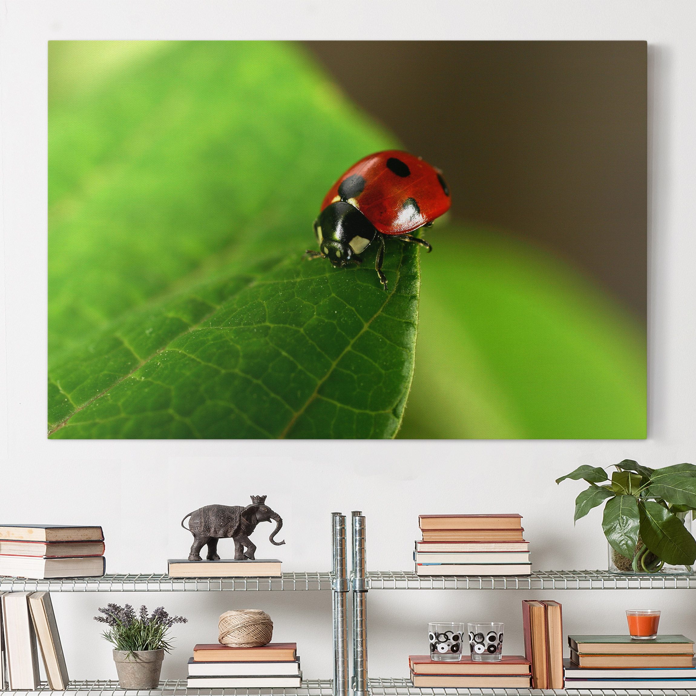 Leinwandbild - Querformat Lady Bird