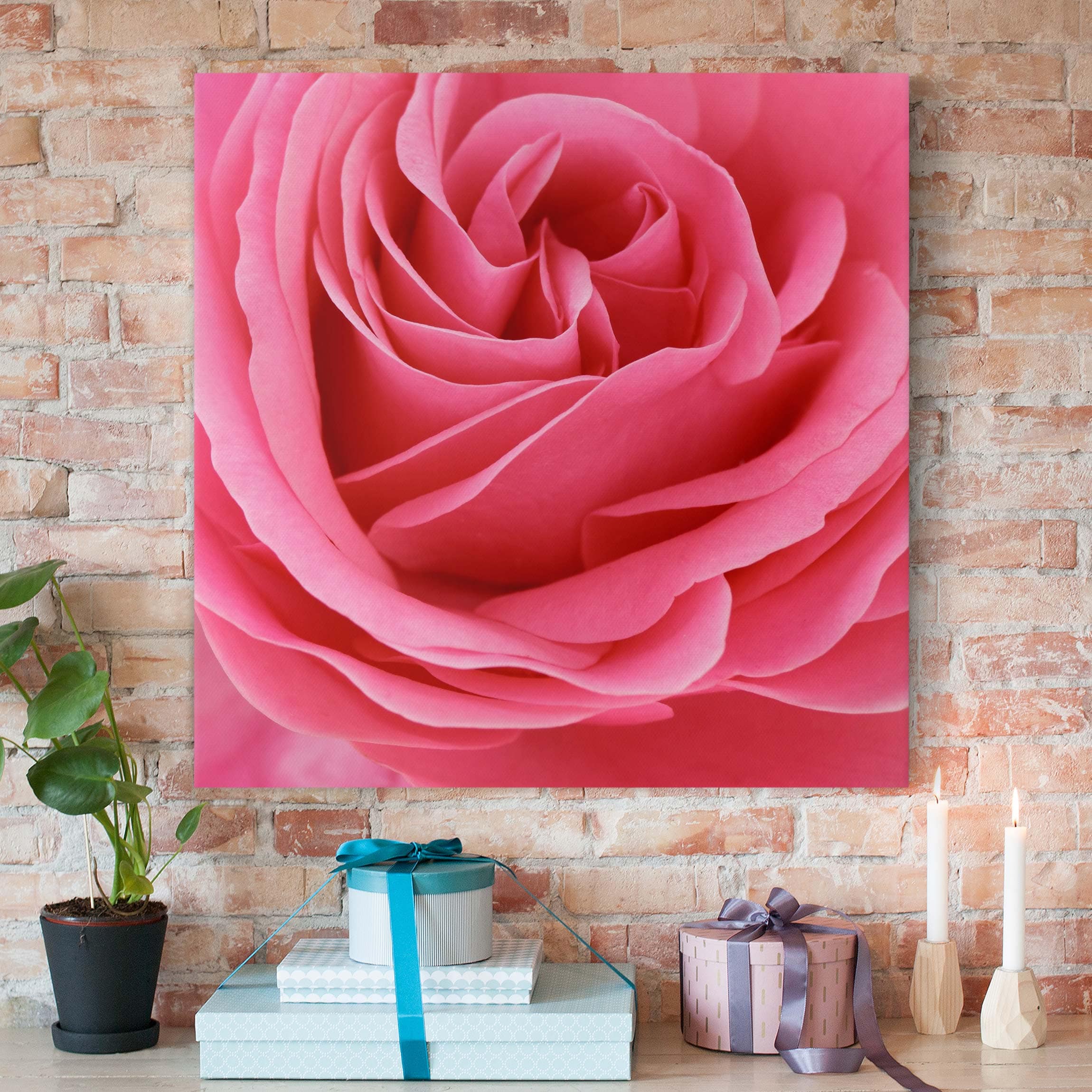 Leinwandbild - Quadrat Lustful Pink Rose