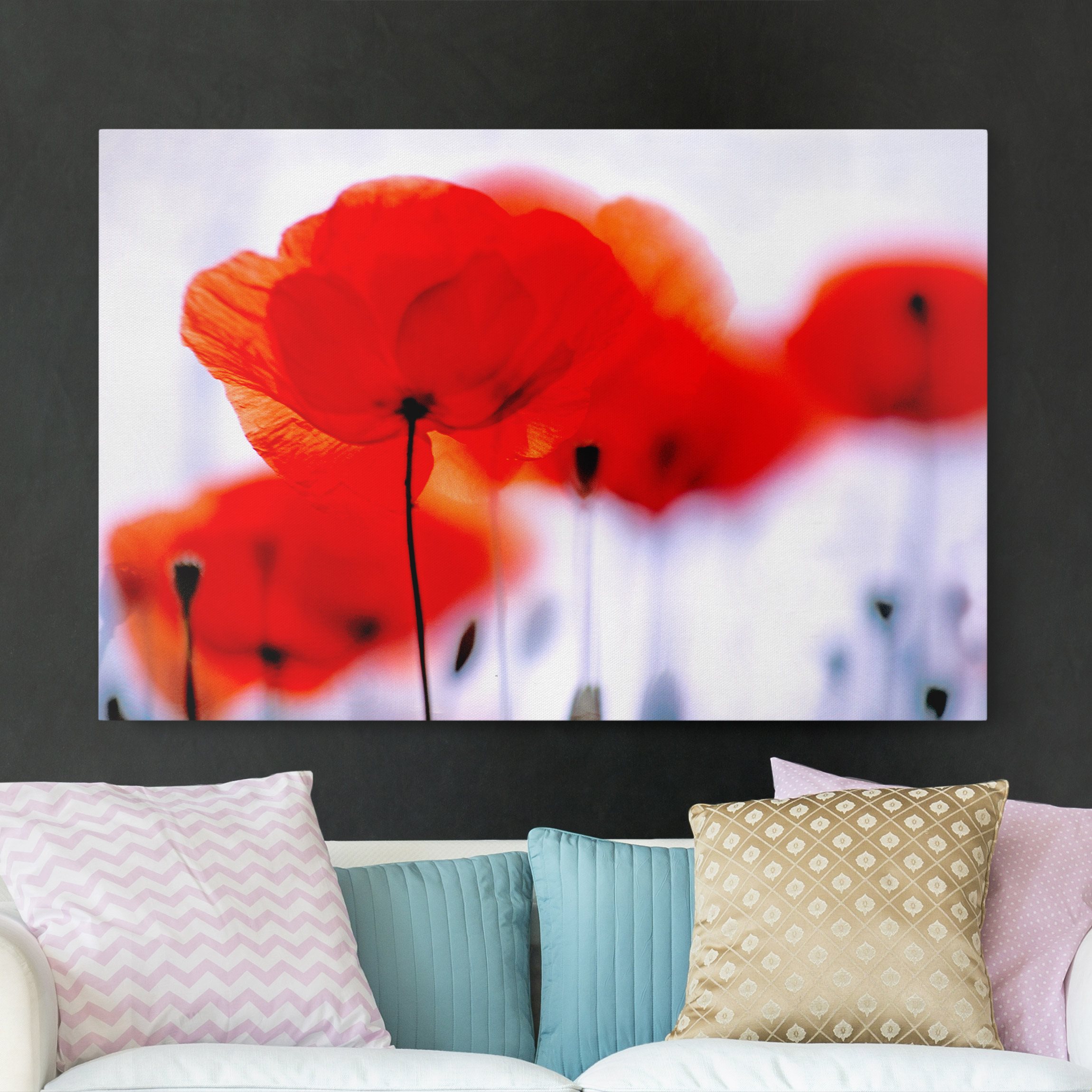 Leinwandbild Blumen Magic Poppies