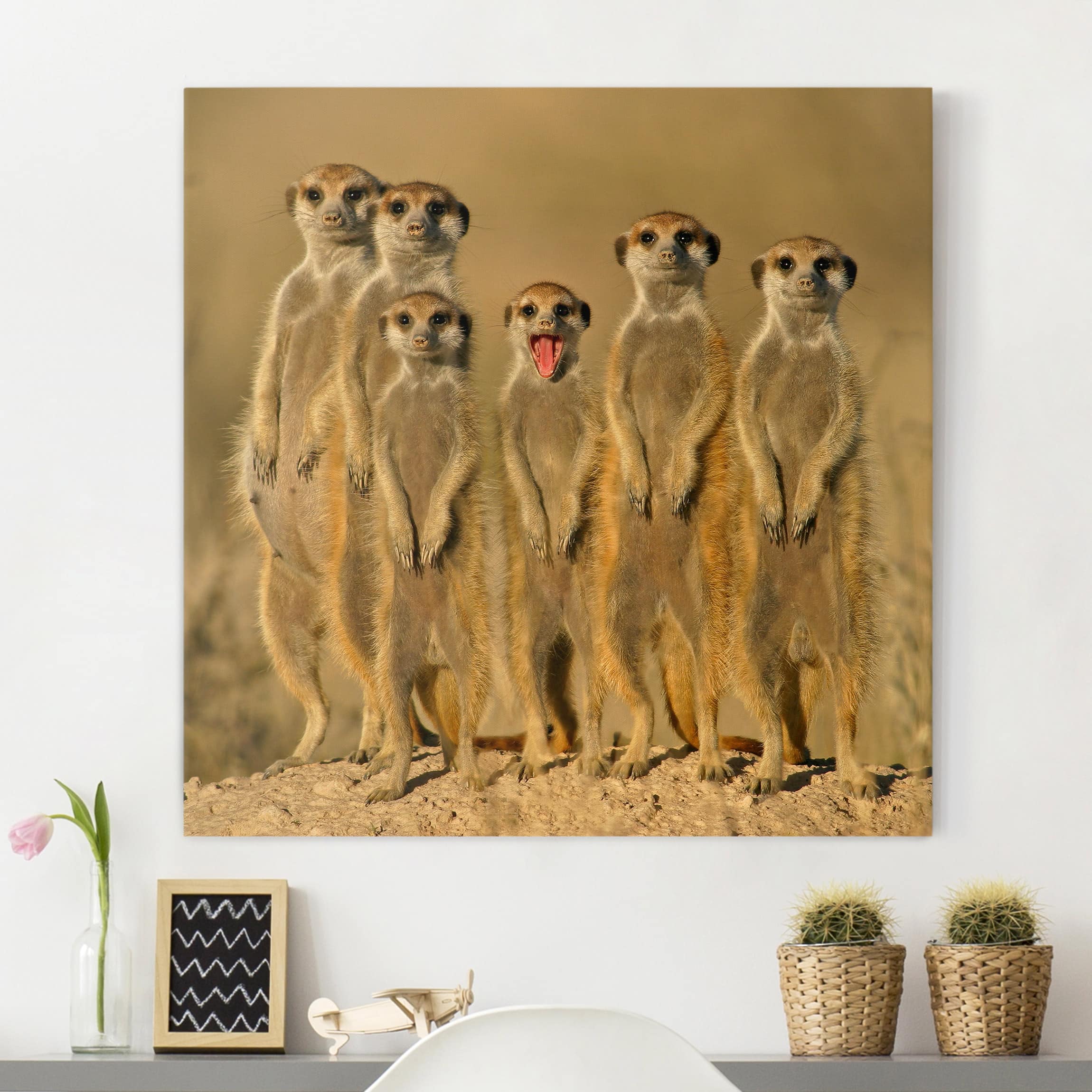 Leinwandbild - Quadrat Meerkat Family