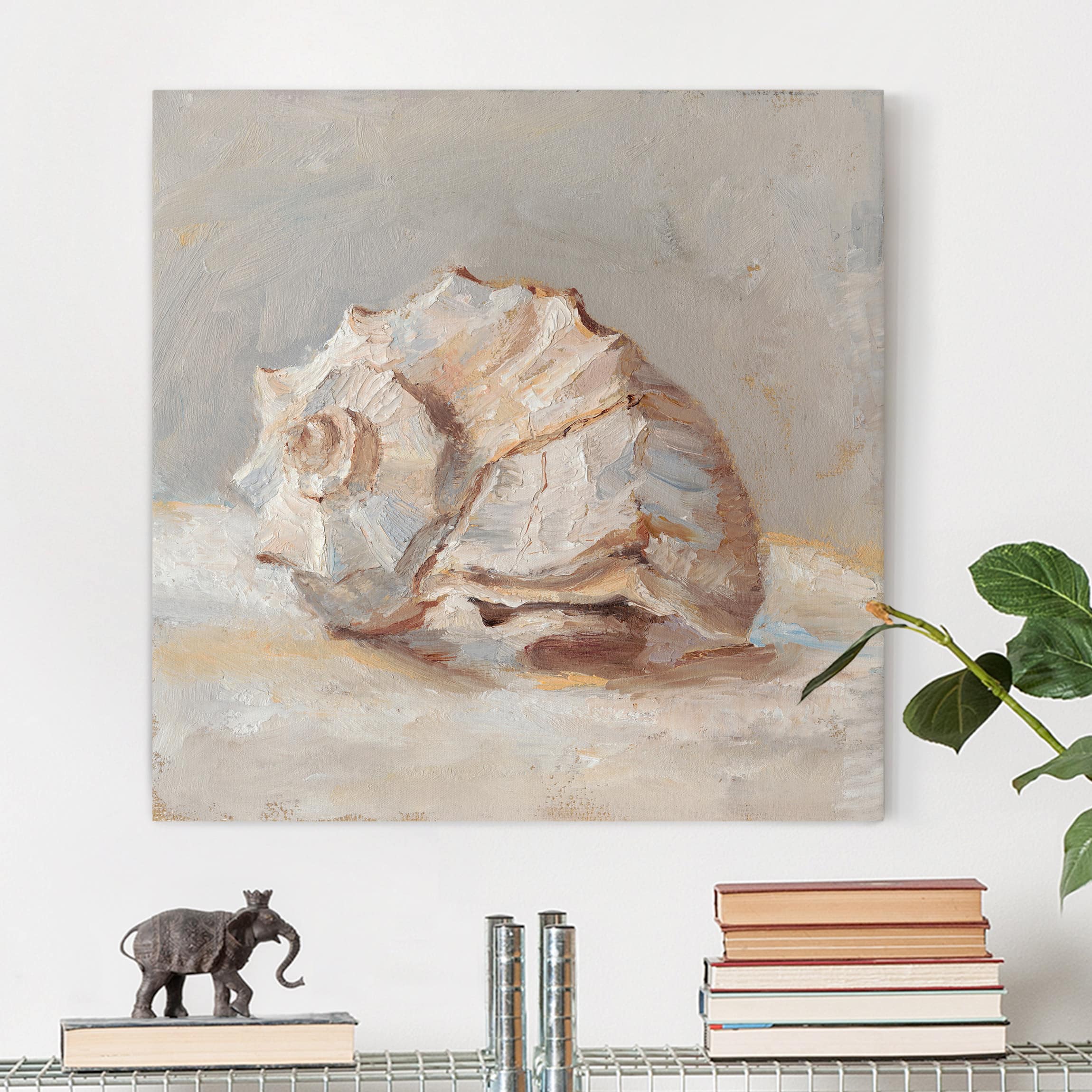 Leinwandbild Tiere Muschel-Studie II