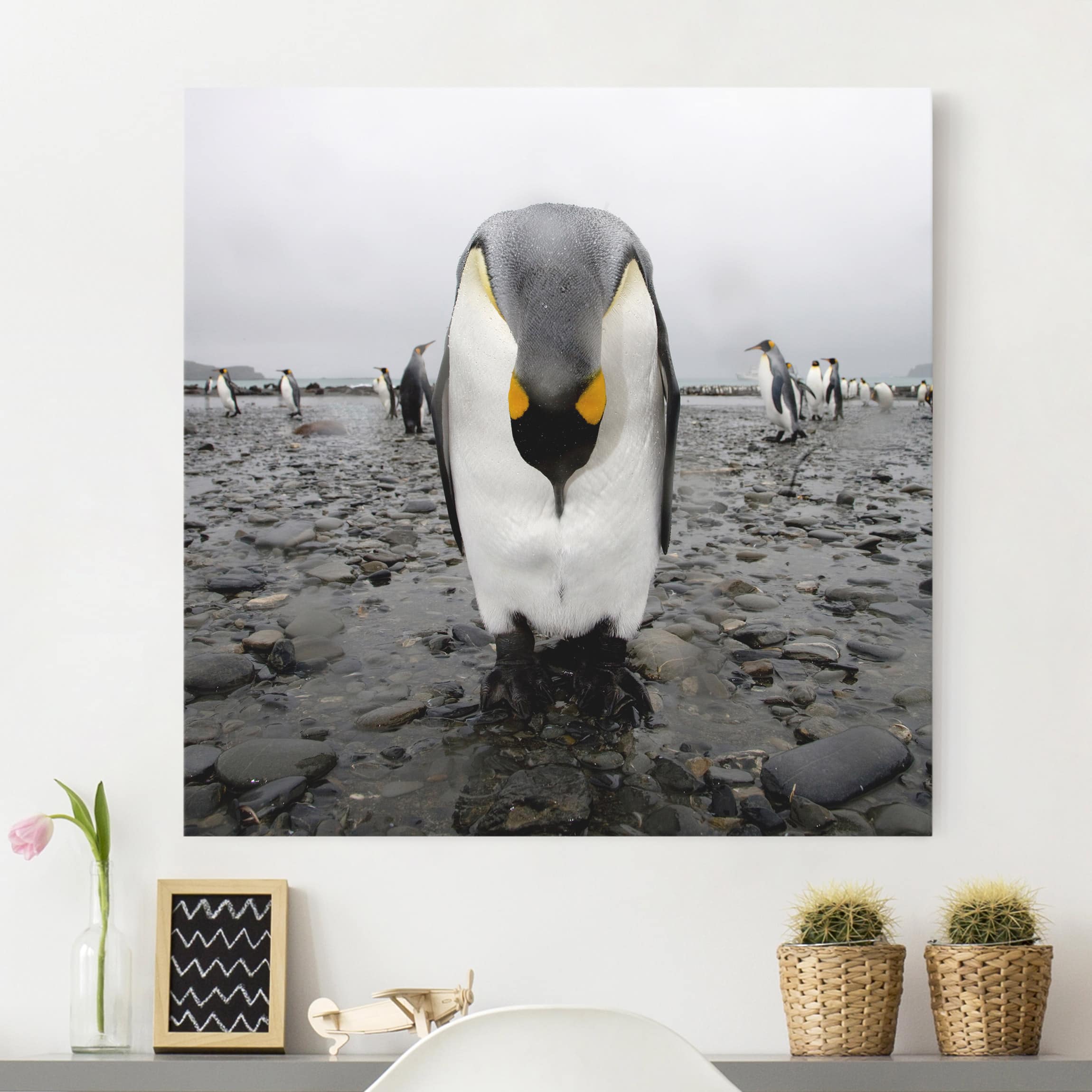 Leinwandbild - Quadrat Pinguin