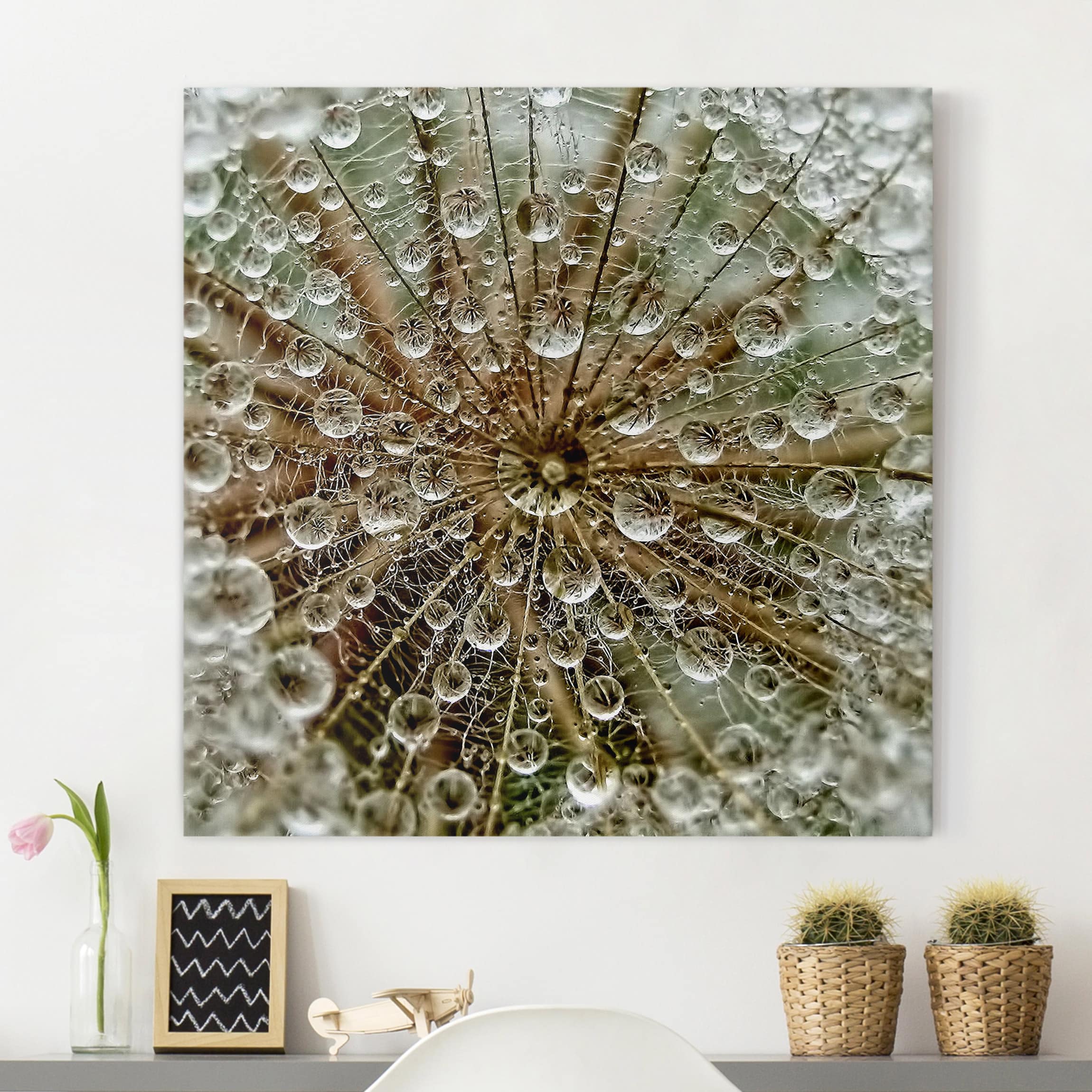 Leinwandbild Blumen Pusteblume im Herbst