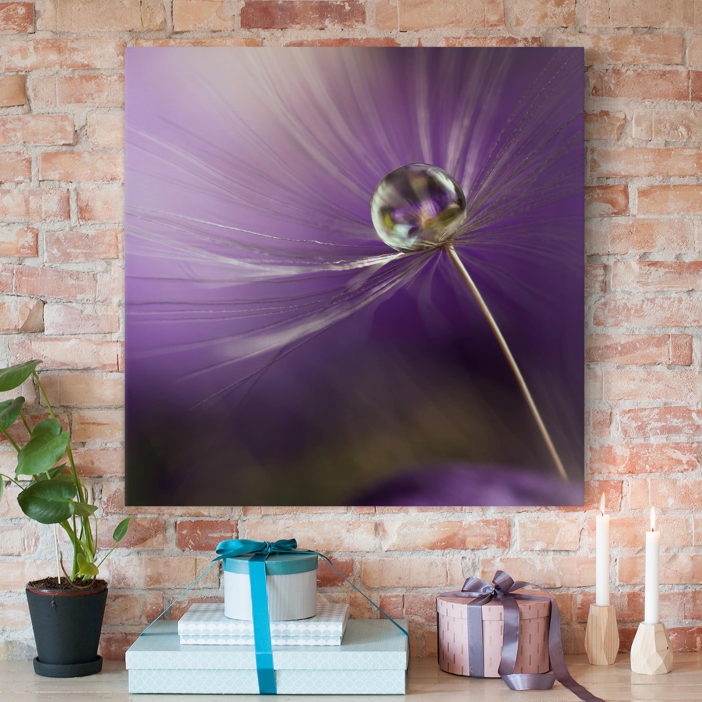 Leinwandbild Blumen Pusteblume in Violett